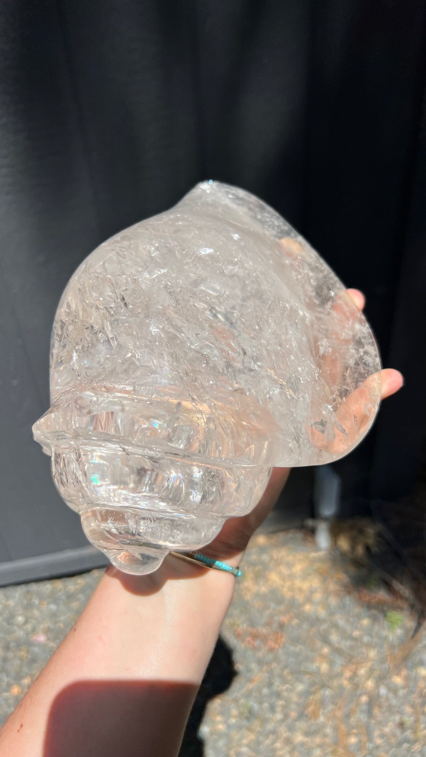 Prismatic Quartz Seashell Carving, 9lbs! Brazil