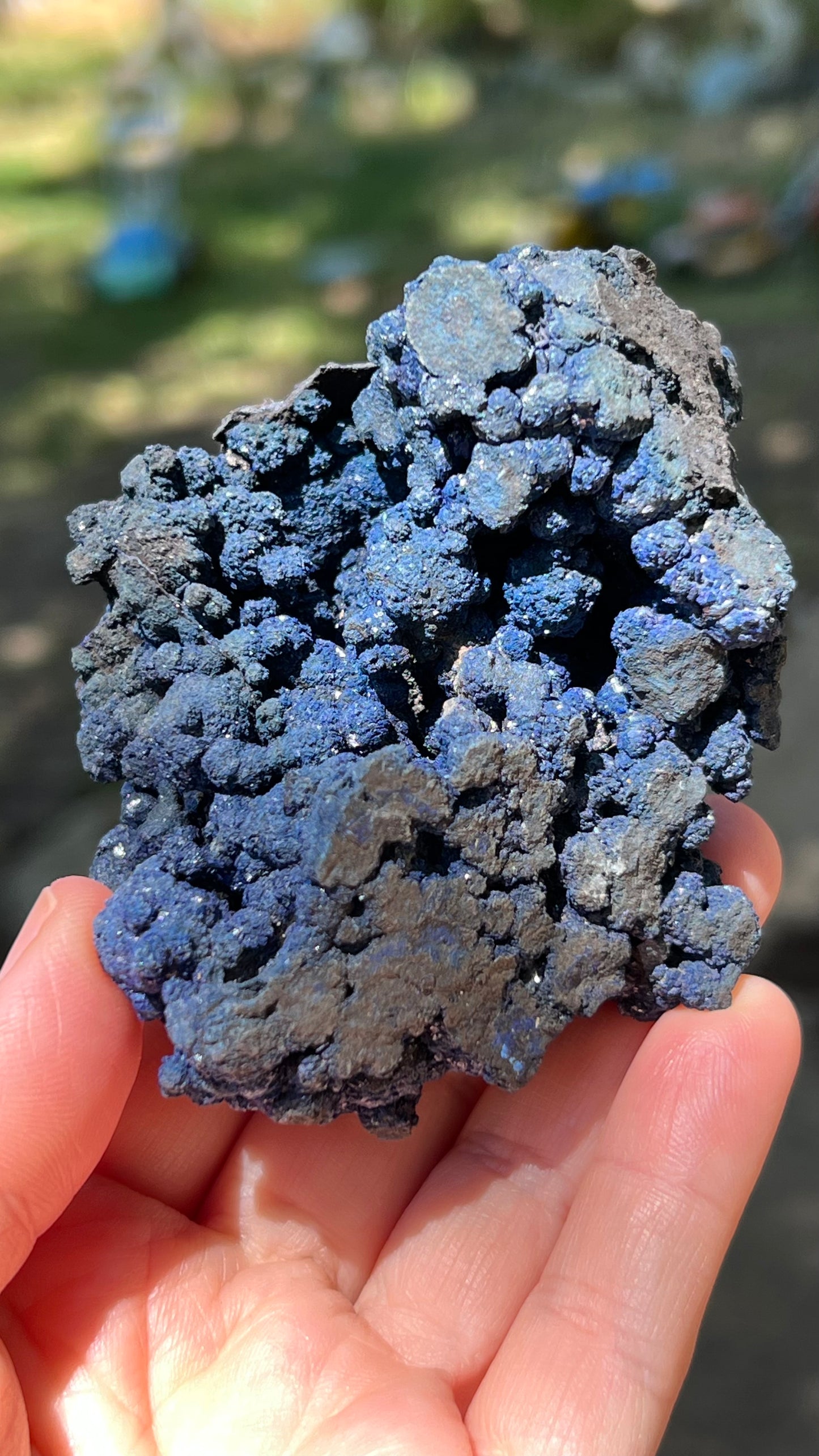 Azurite Rosette Cluster, Morenci Mine Region, Arizona USA
