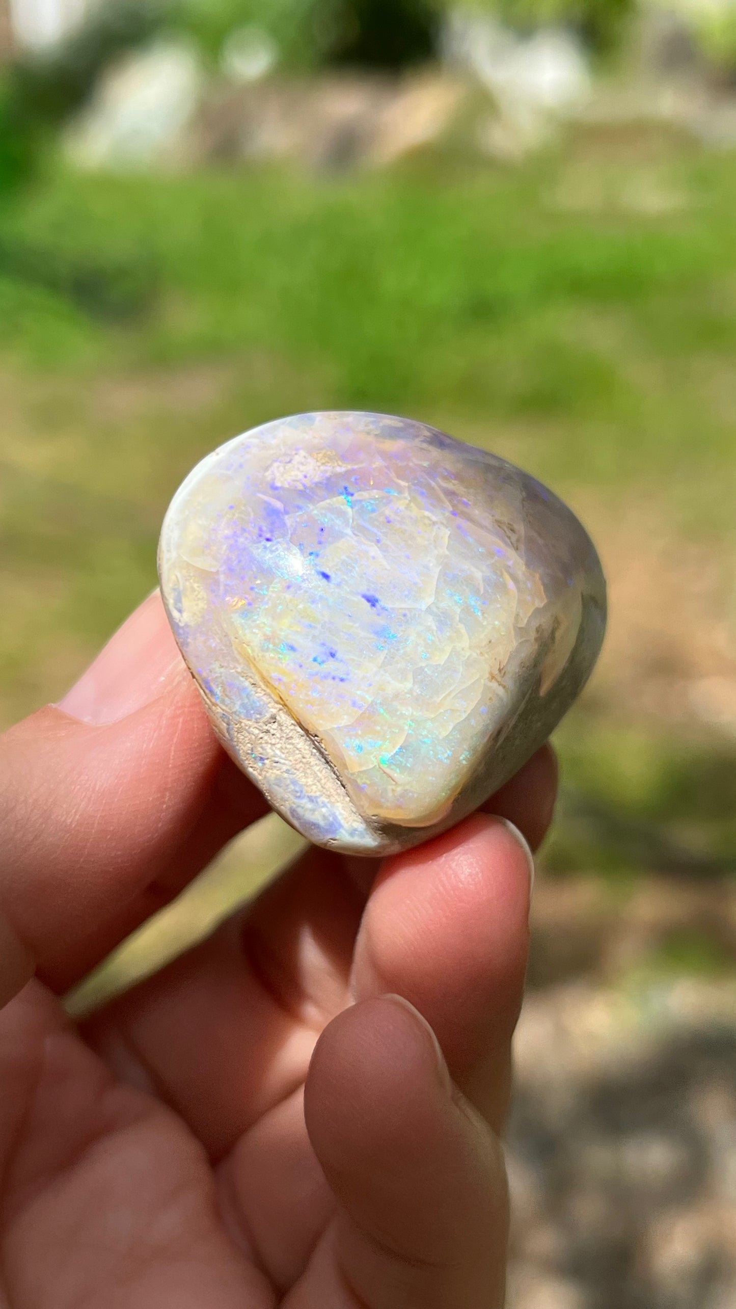 Opalized Clam Shell, 128cts Coober Pedy Australia, Iridescent Fossils