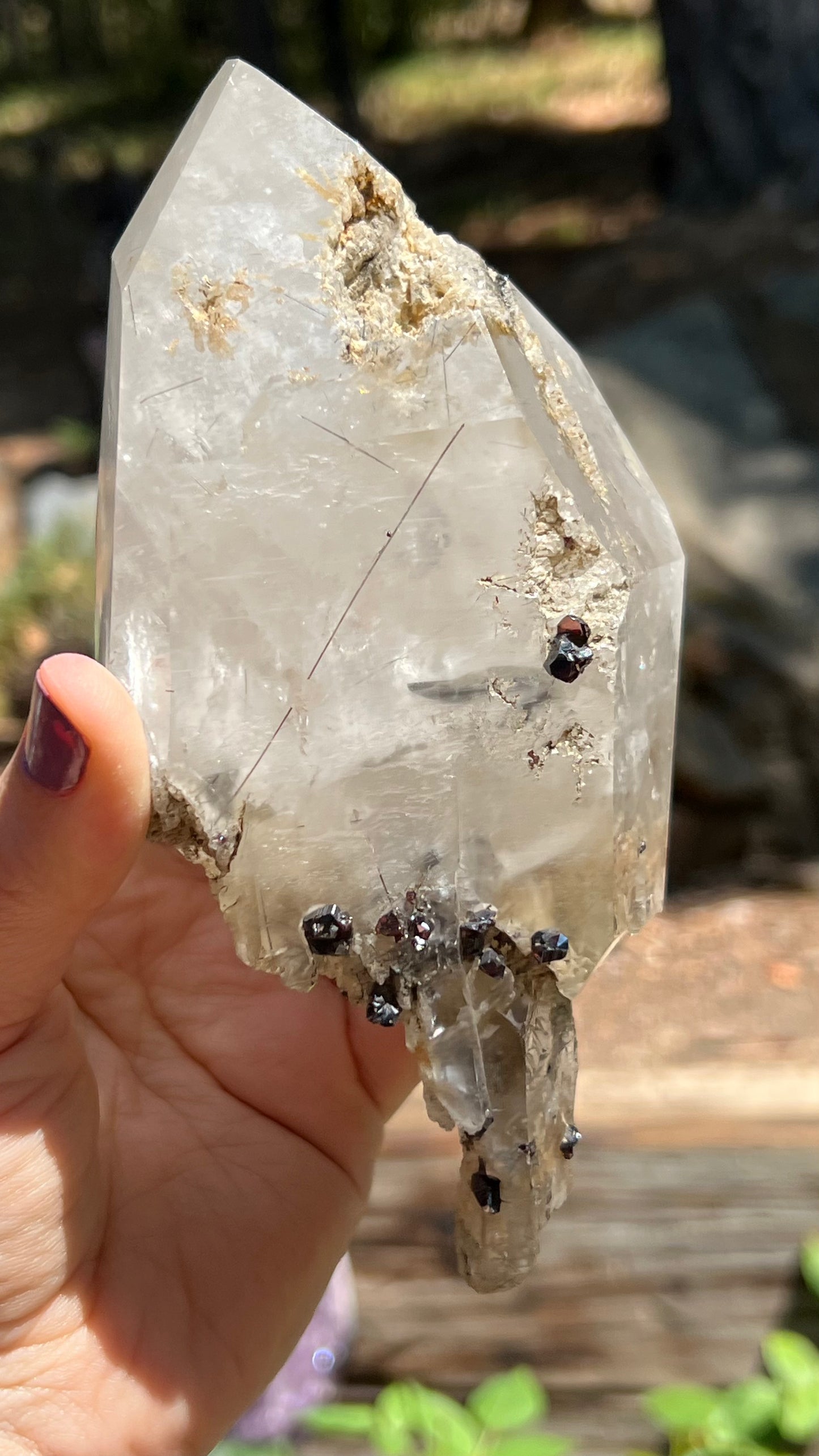Quartz Scepter with Rutile and Garnets