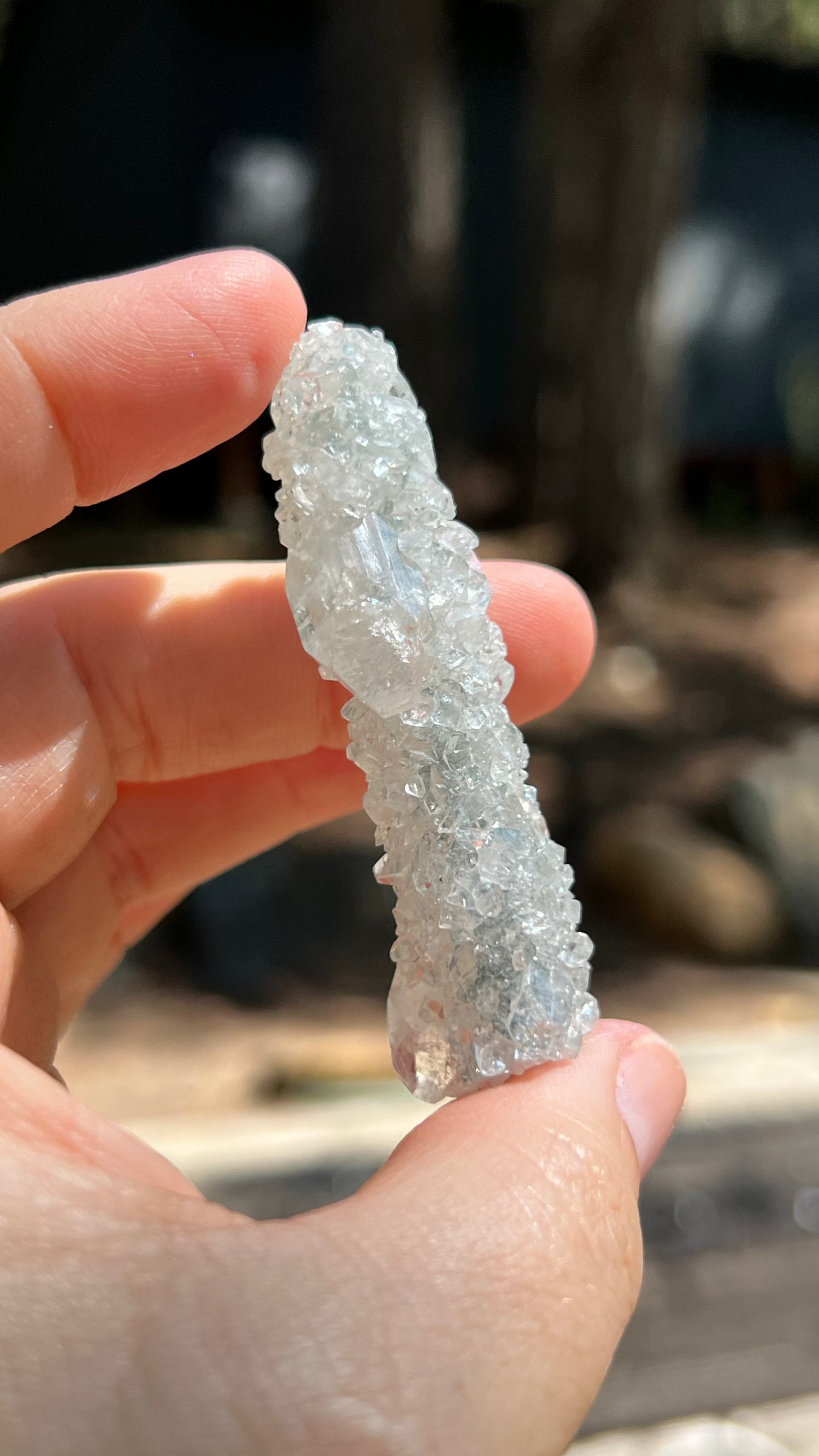 Apophyllite Crystals over Stalactite, India