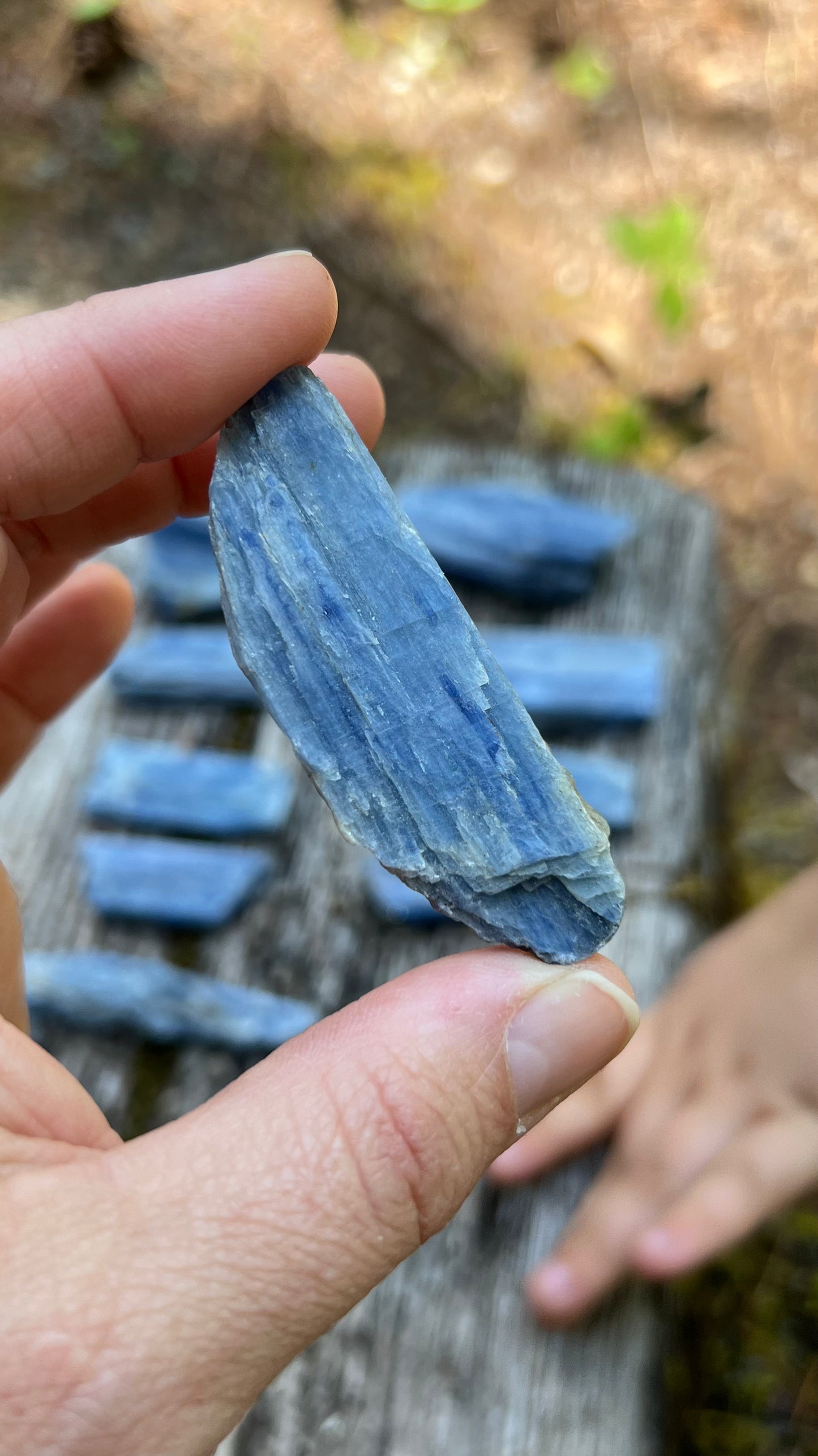 One Kyanite, Raw Natural Blade