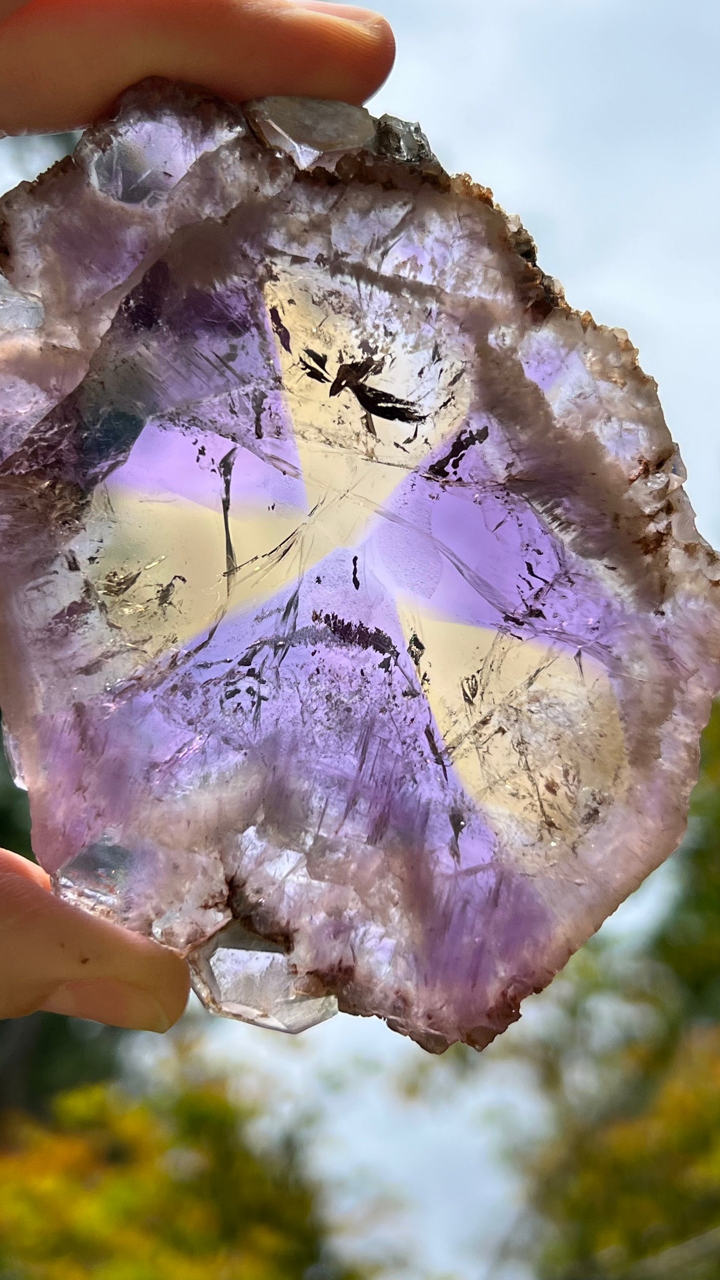 Ametrine Polished Slice, Anahi Mine, Bolivia 166g