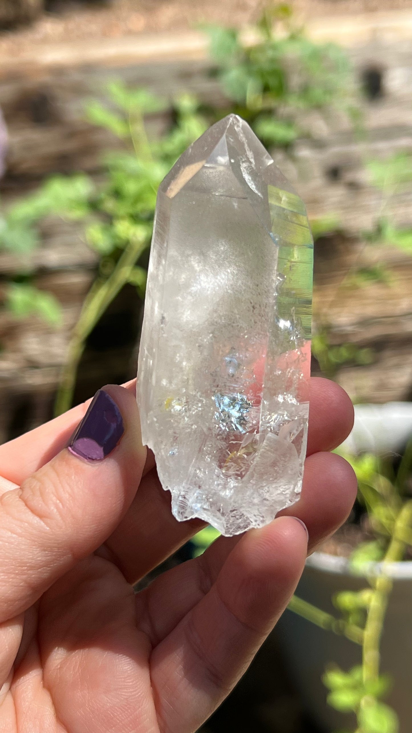Recordkeeper Lemurian 7-3-7 Quartz, Colombia