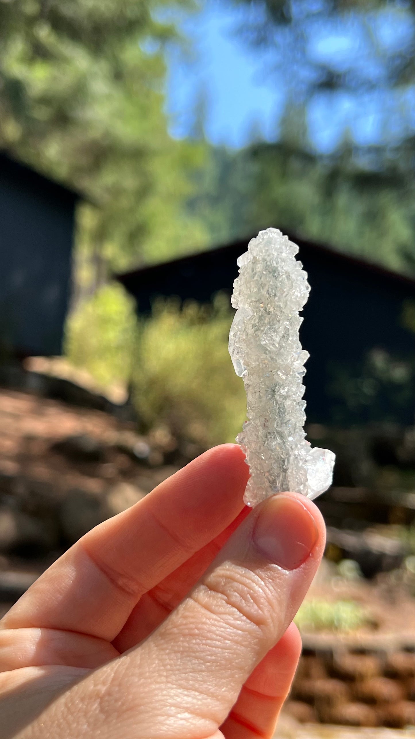 Apophyllite Crystals over Stalactite, India