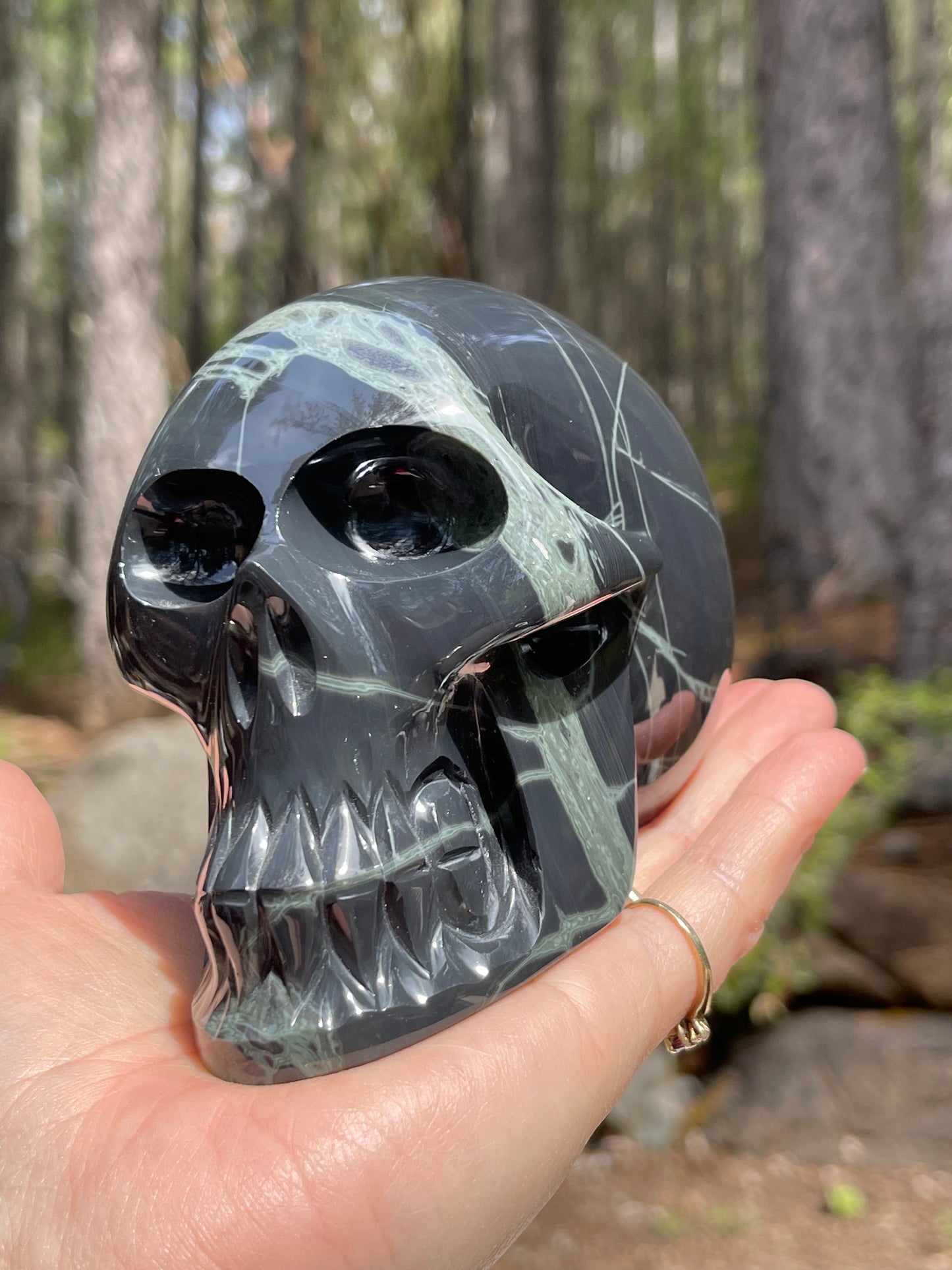 Spider Web Obsidian Skull