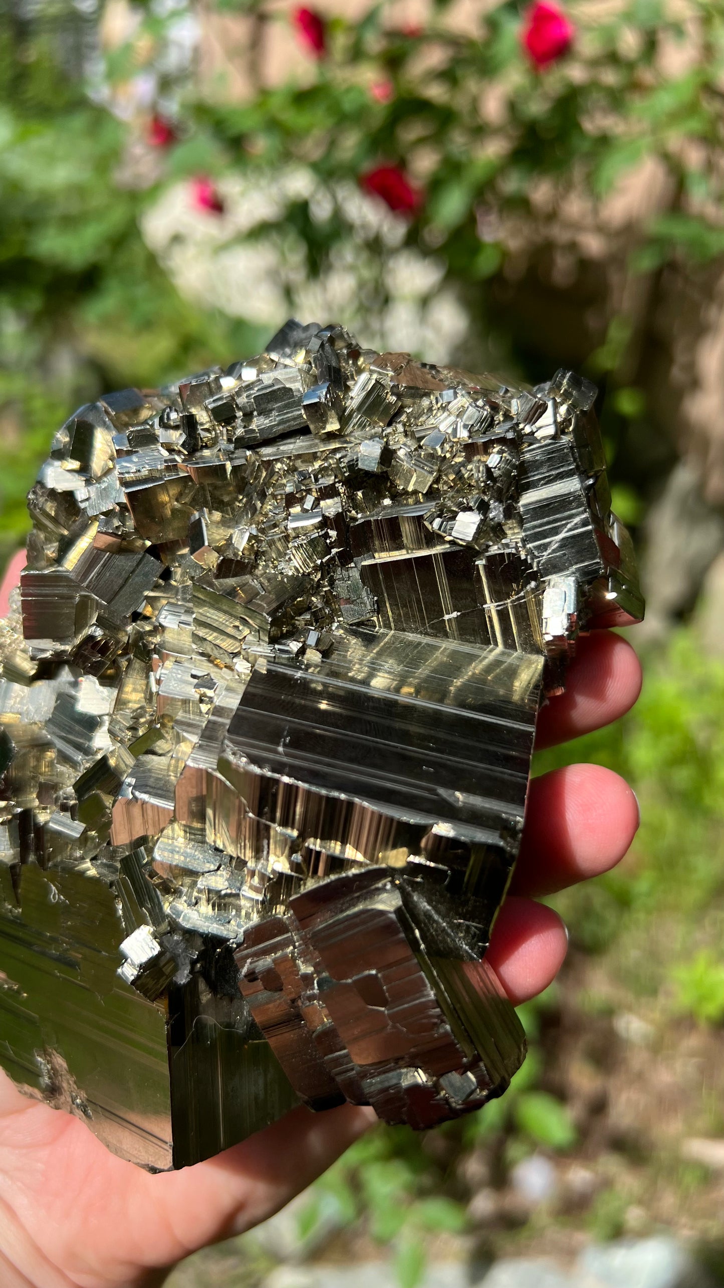 Striking Pyrite with Quartz, Huanzala Mine, Peru