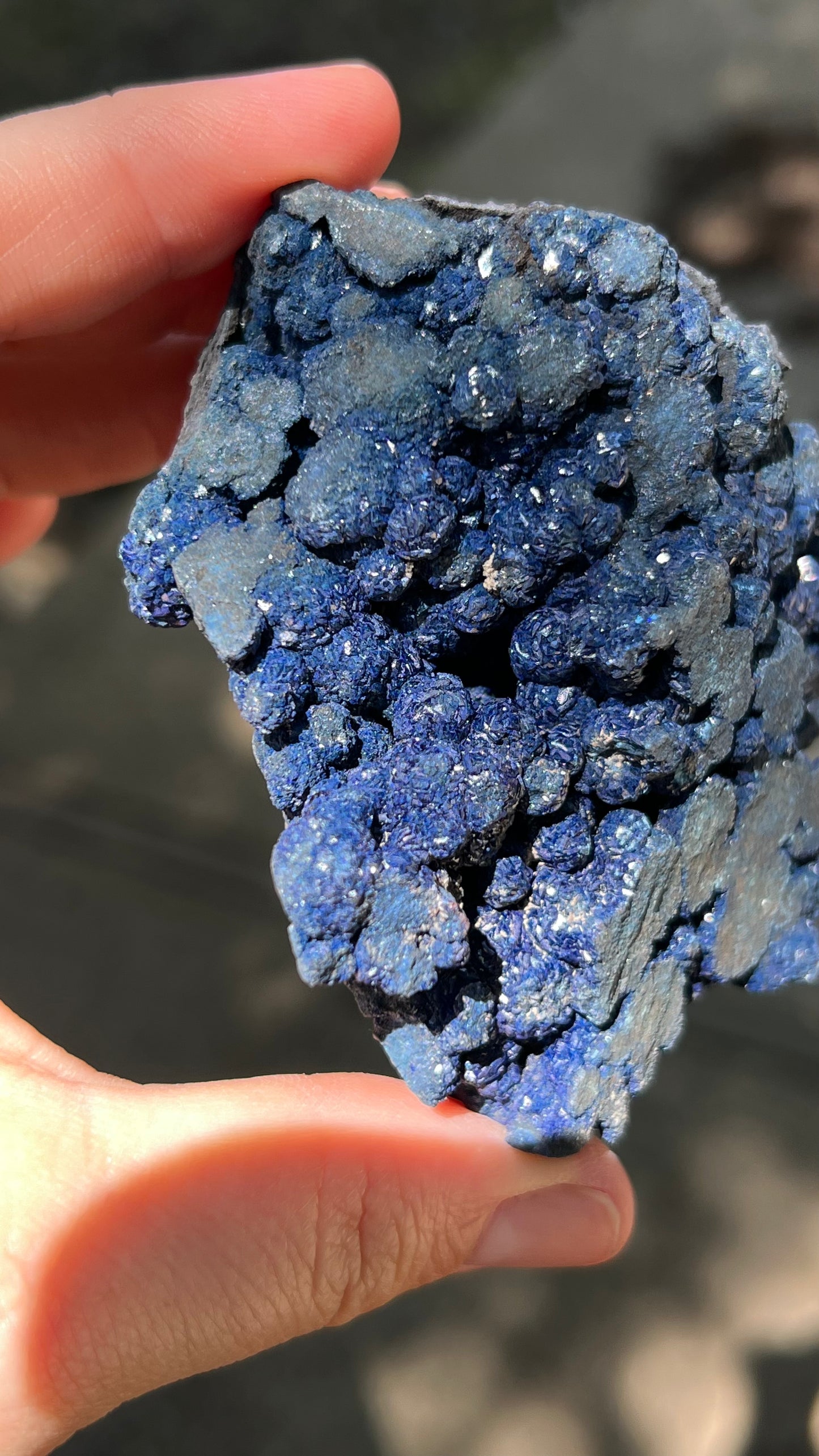 Azurite Rosette Cluster, Morenci Mine Region, Arizona USA