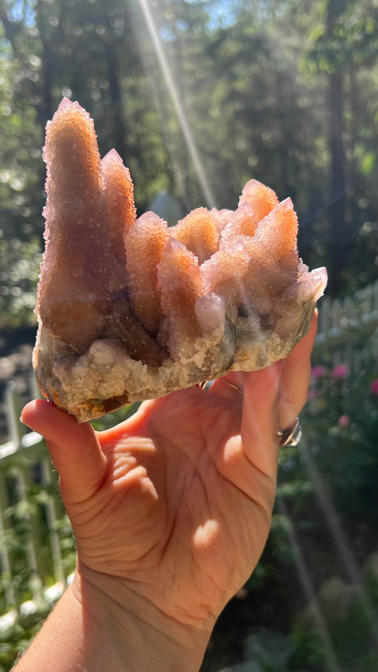 Lavender Spirit Quartz Cactus Quartz, South Africa