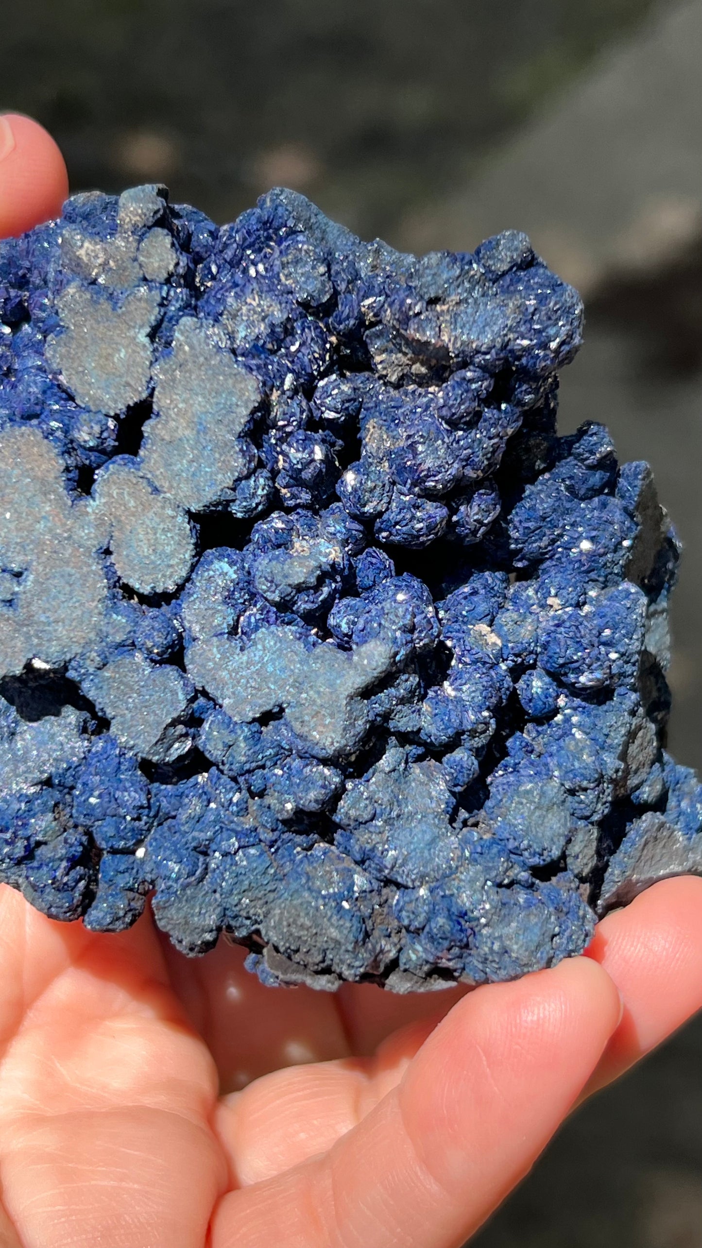 Azurite Rosette Cluster, Morenci Mine Region, Arizona USA