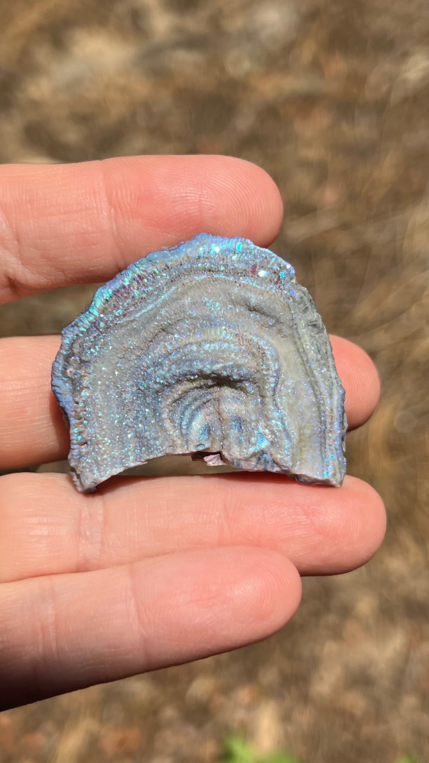 Angel Aura Chalcedony