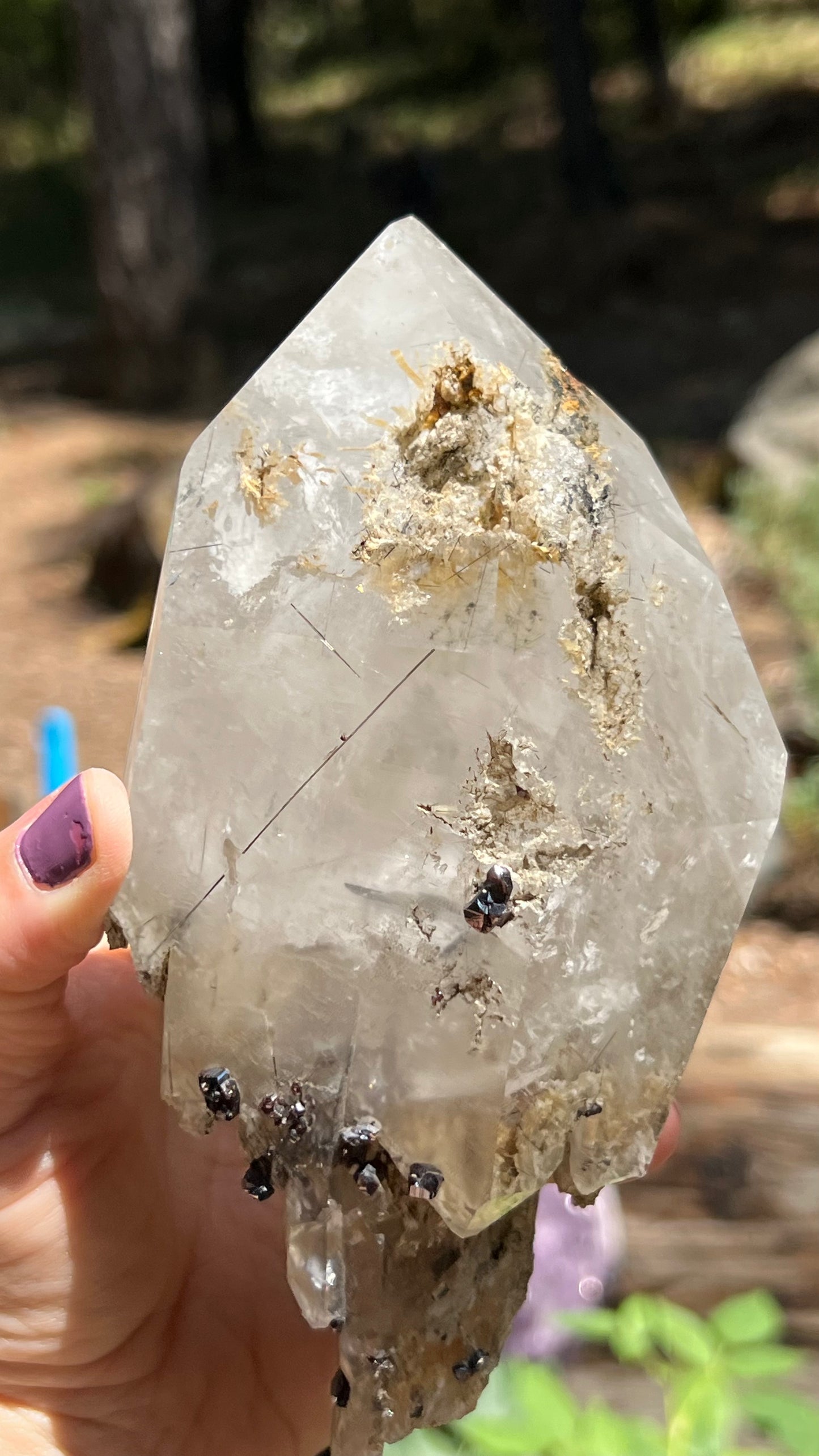 Quartz Scepter with Rutile and Garnets