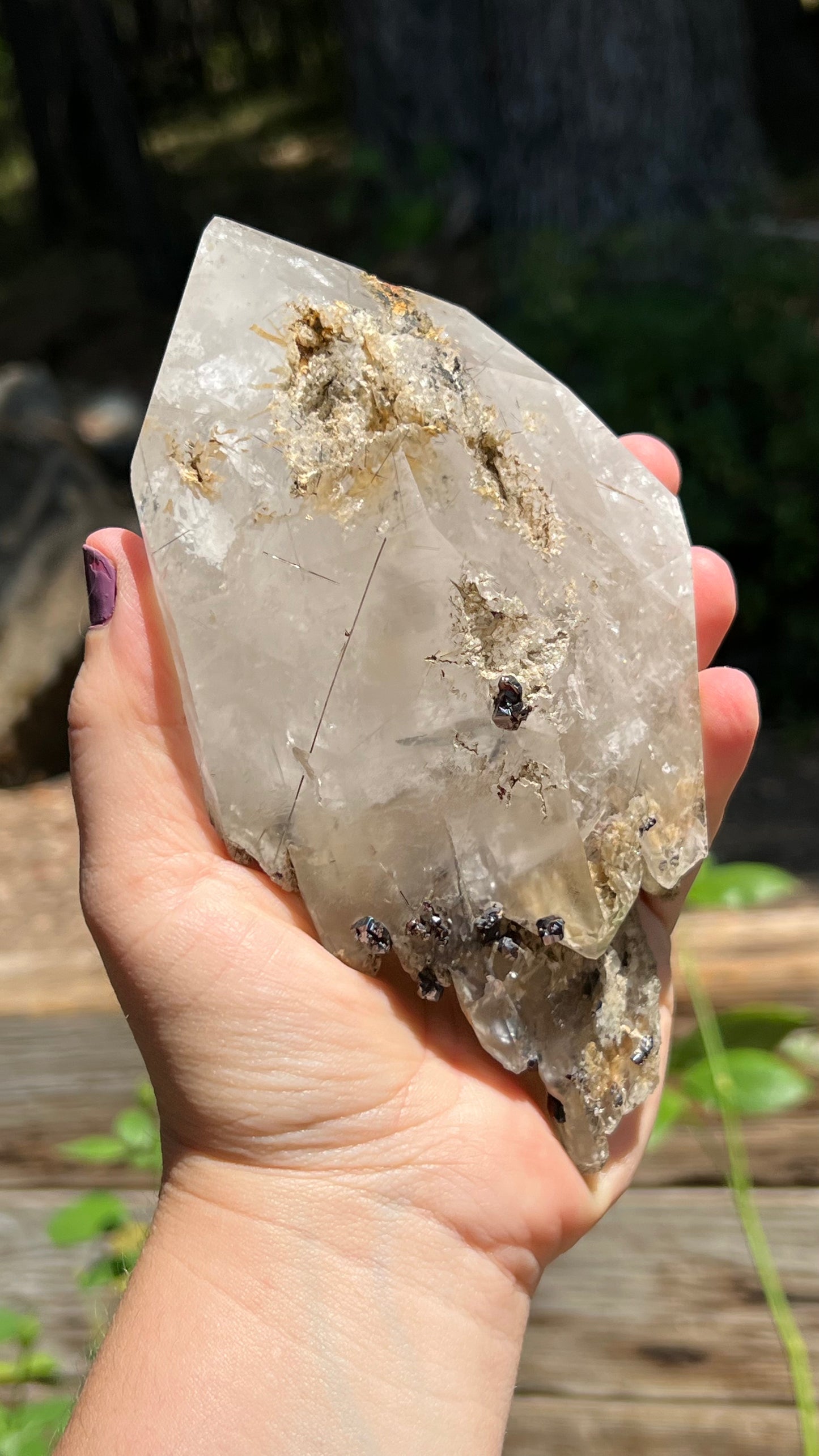 Quartz Scepter with Rutile and Garnets