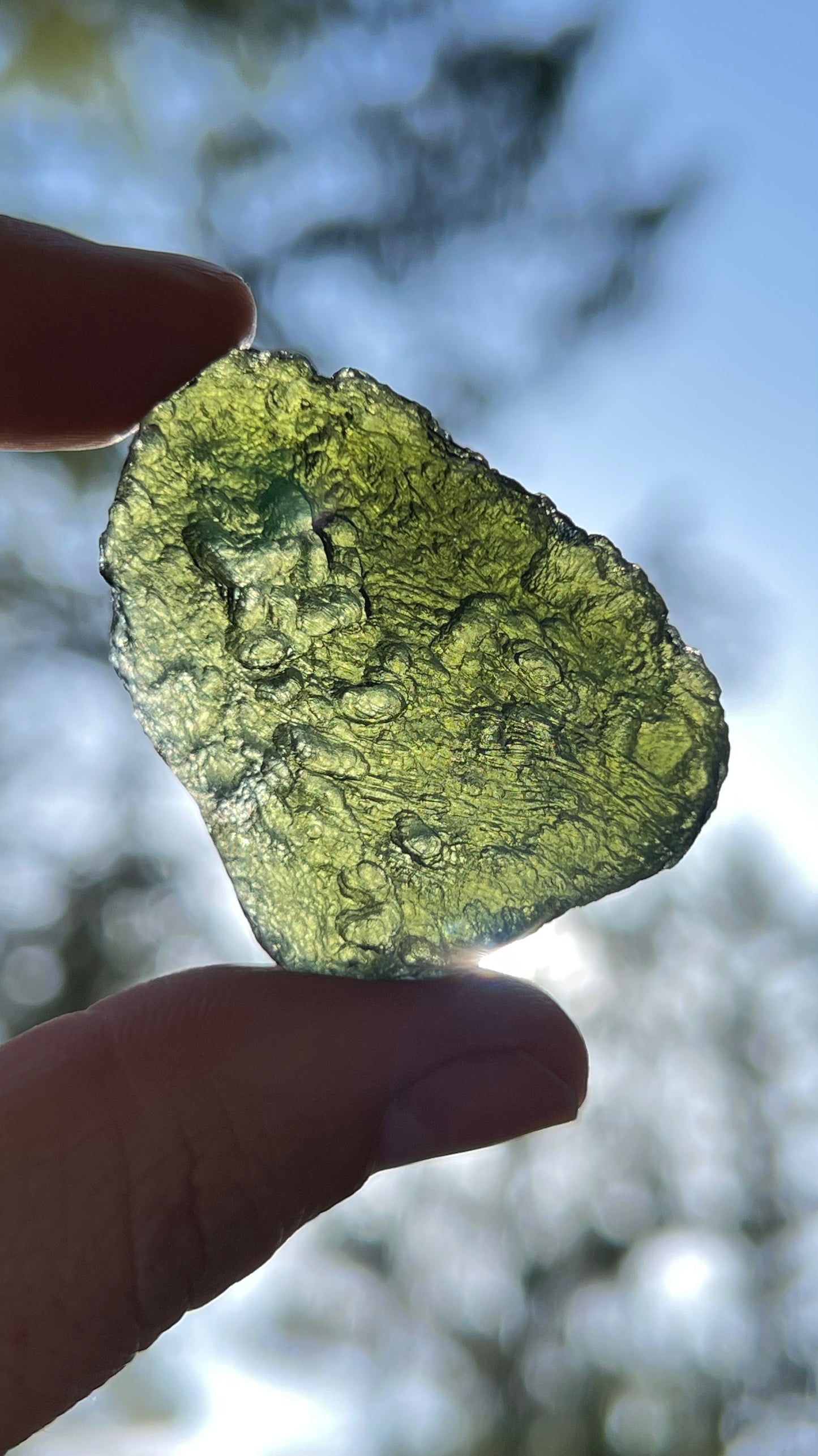 Museum Grade Moldavite, 16.6g Czech Republic
