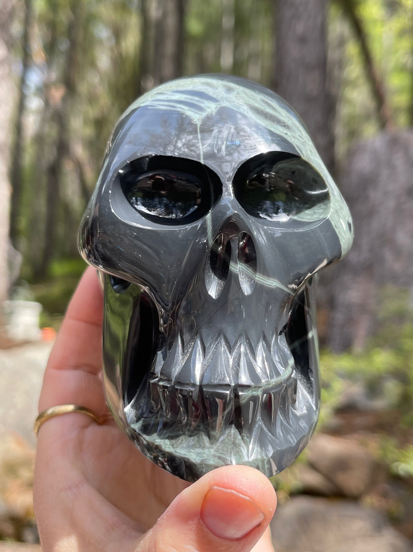 Spider Web Obsidian Skull