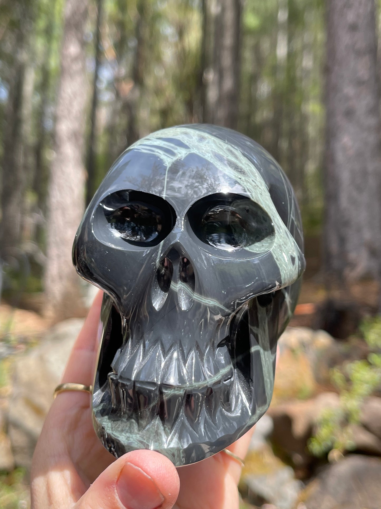 Spider Web Obsidian Skull