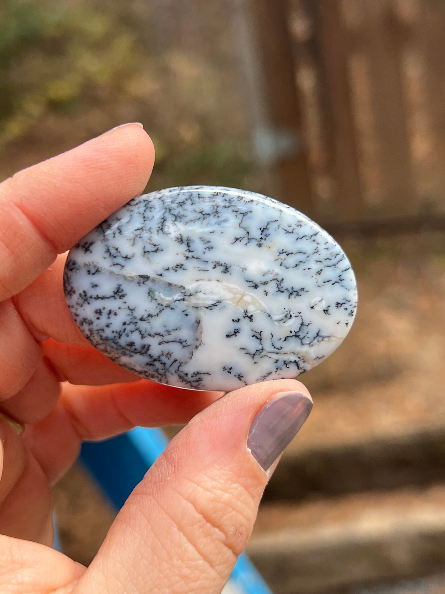 Dendritic Opal Cabochon, Merlinite