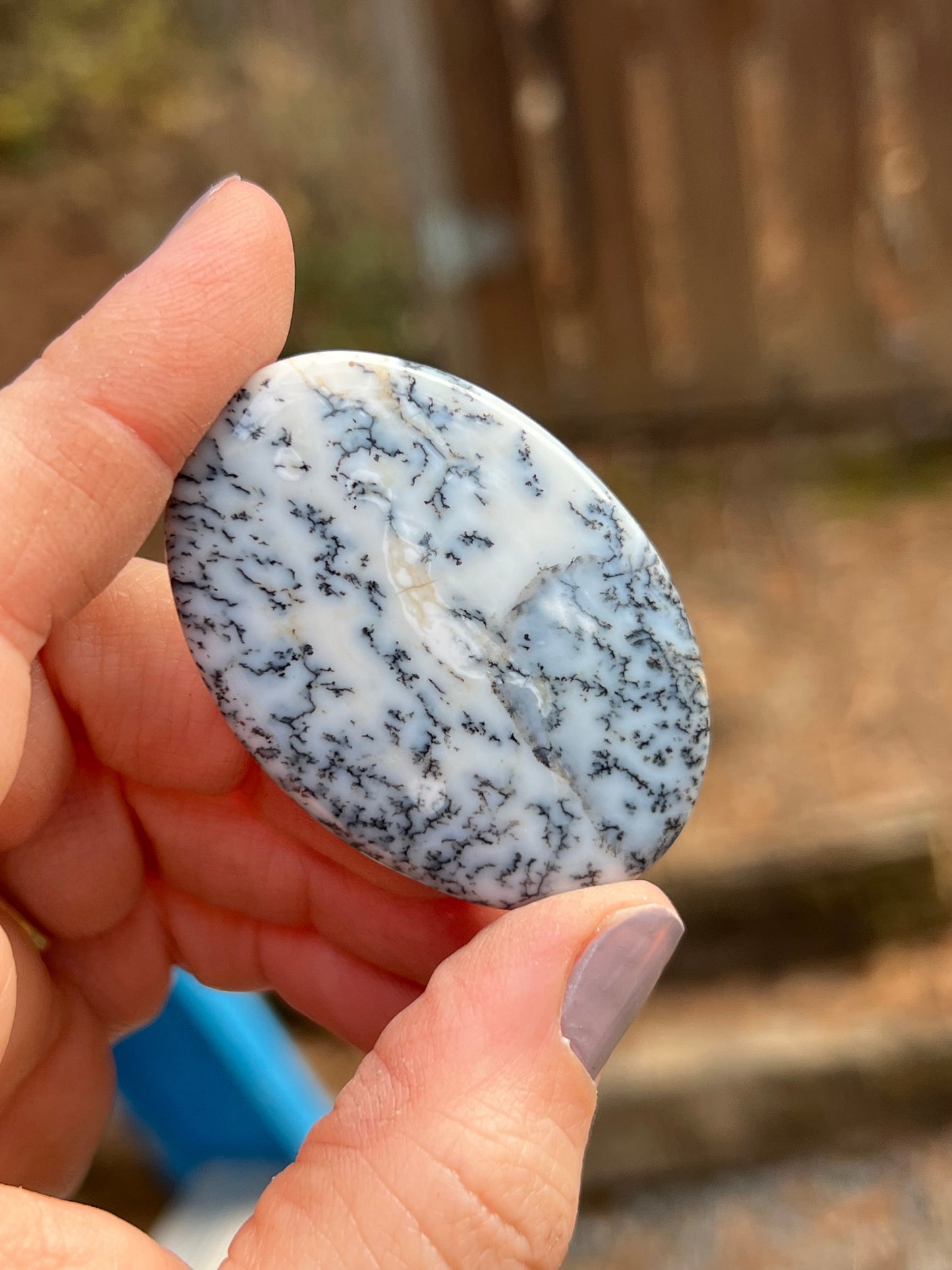 Dendritic Opal Cabochon, Merlinite