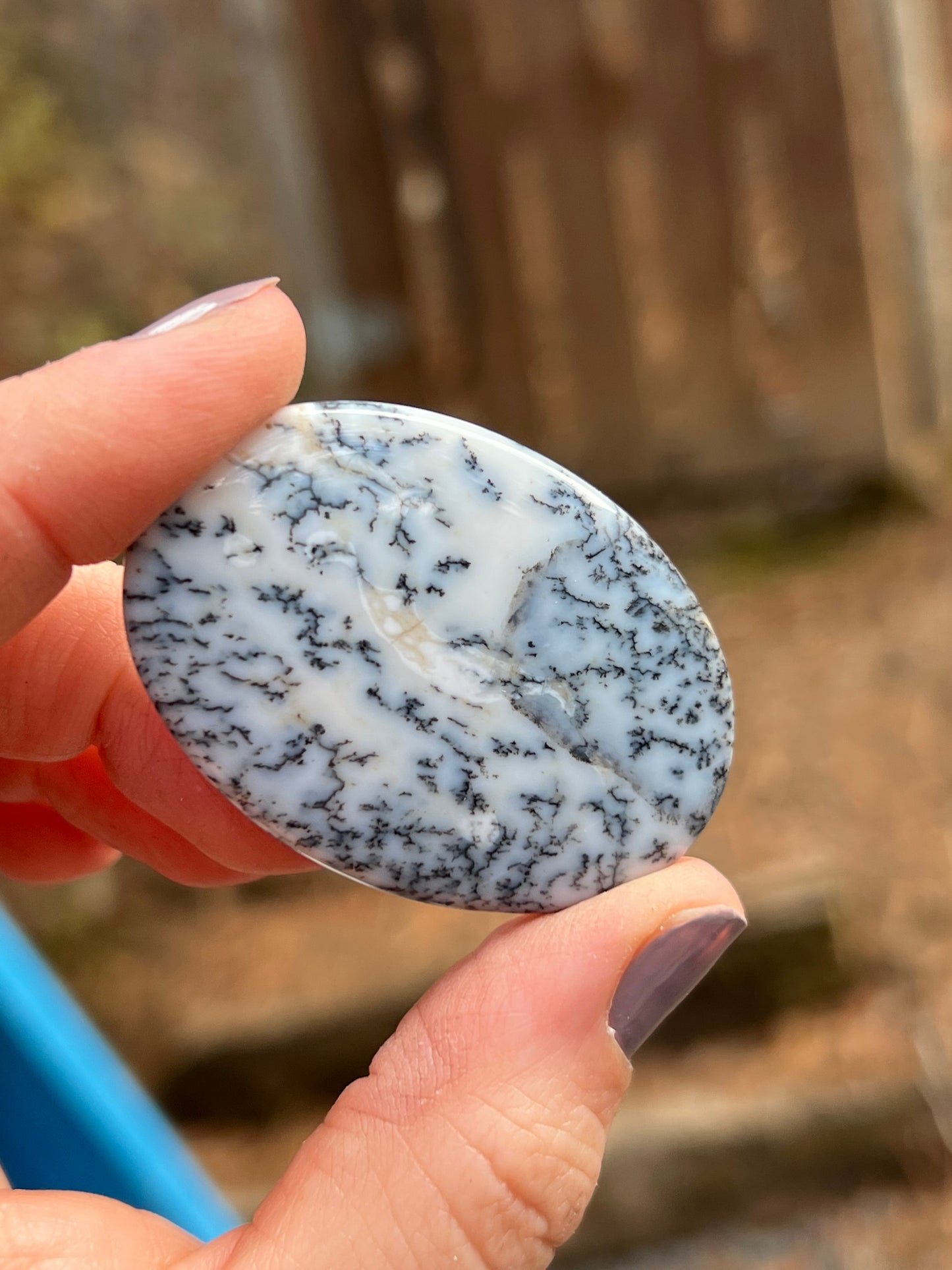 Dendritic Opal Cabochon, Merlinite