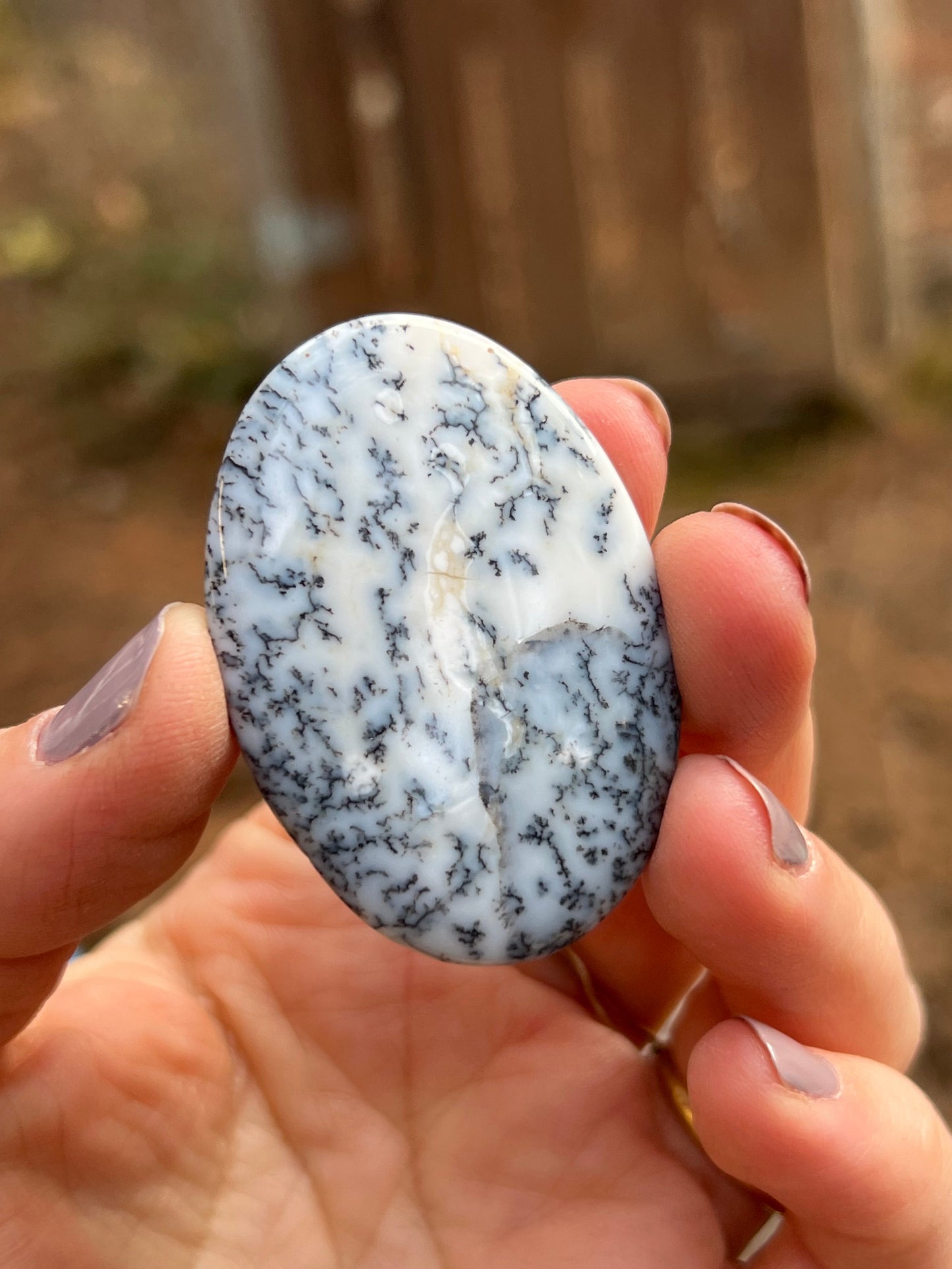 Dendritic Opal Cabochon, Merlinite
