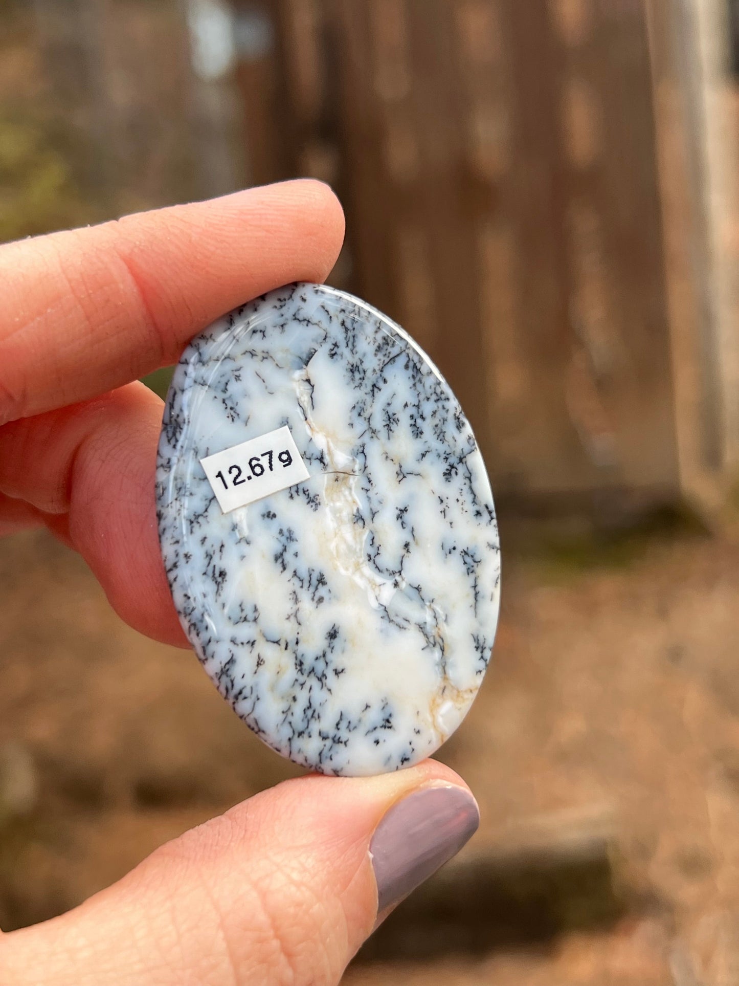 Dendritic Opal Cabochon, Merlinite
