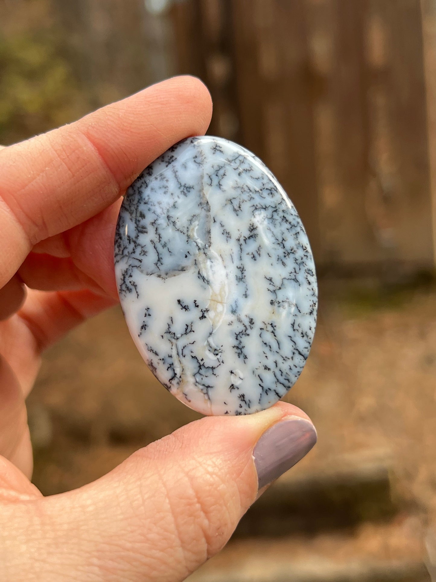 Dendritic Opal Cabochon, Merlinite