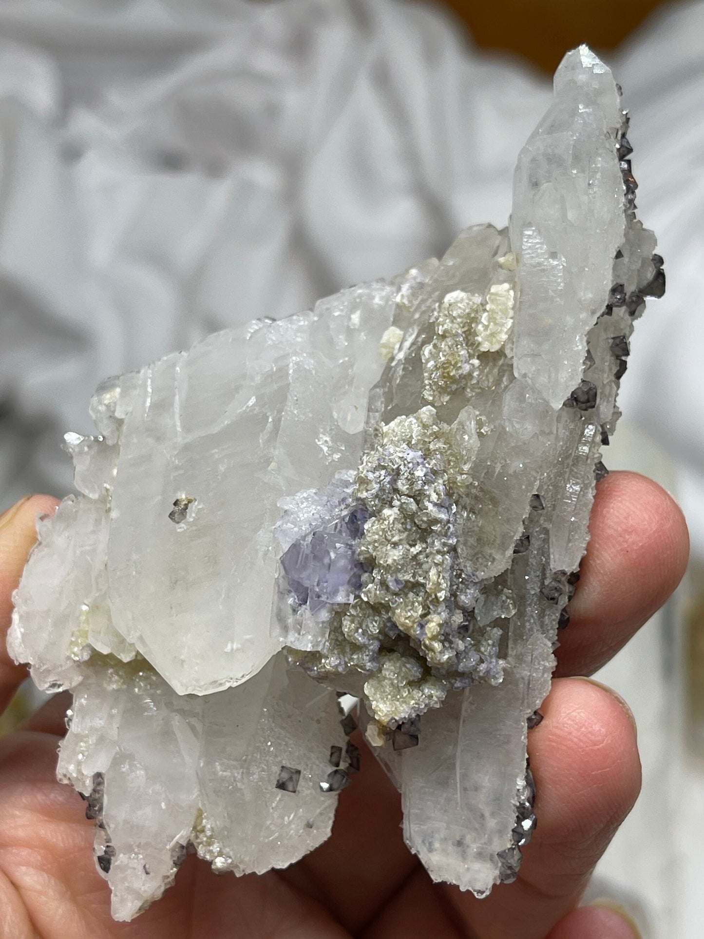 Scheelite, Dolomite, Fluorite, Powellite on Quartz, Yaogangxian, China FL1-031721