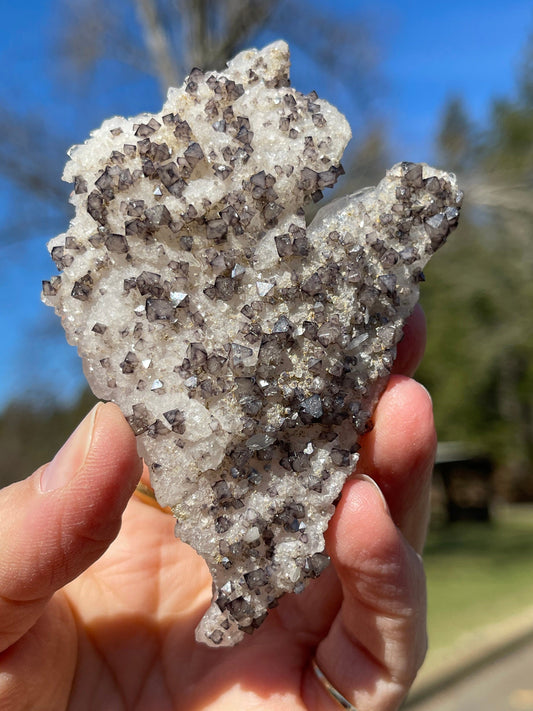 Scheelite, Dolomite, Fluorite, Powellite on Quartz, Yaogangxian, China FL1-031721