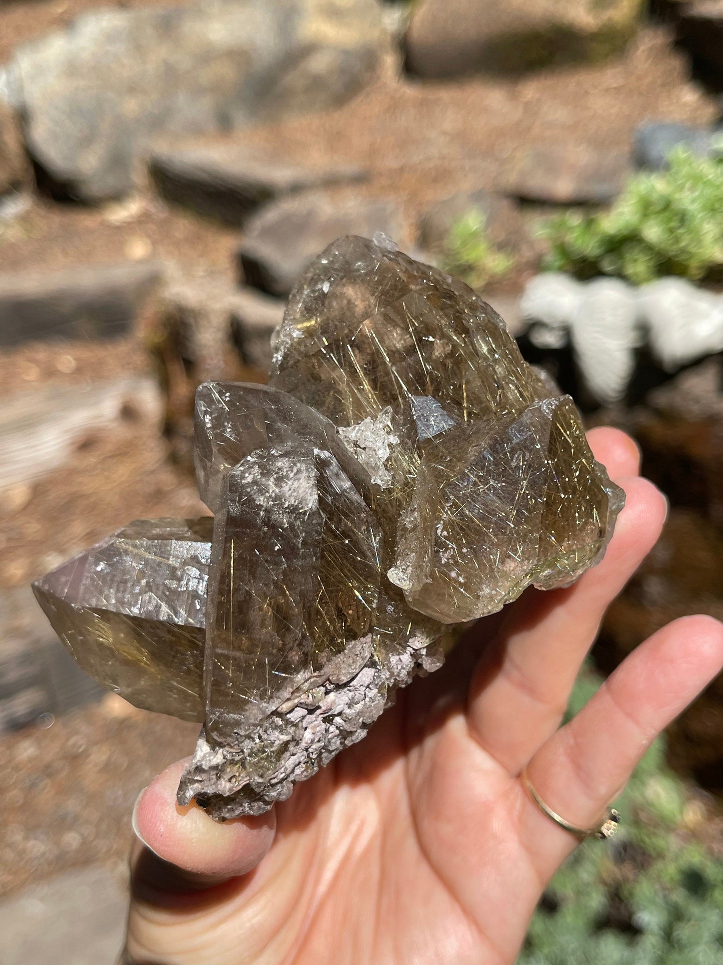 Gold Rutilated Quartz Cluster, High Quality Quartz, Rutilated Smoky Quartz, Venus Golden Hair Rutile, Q3-0522