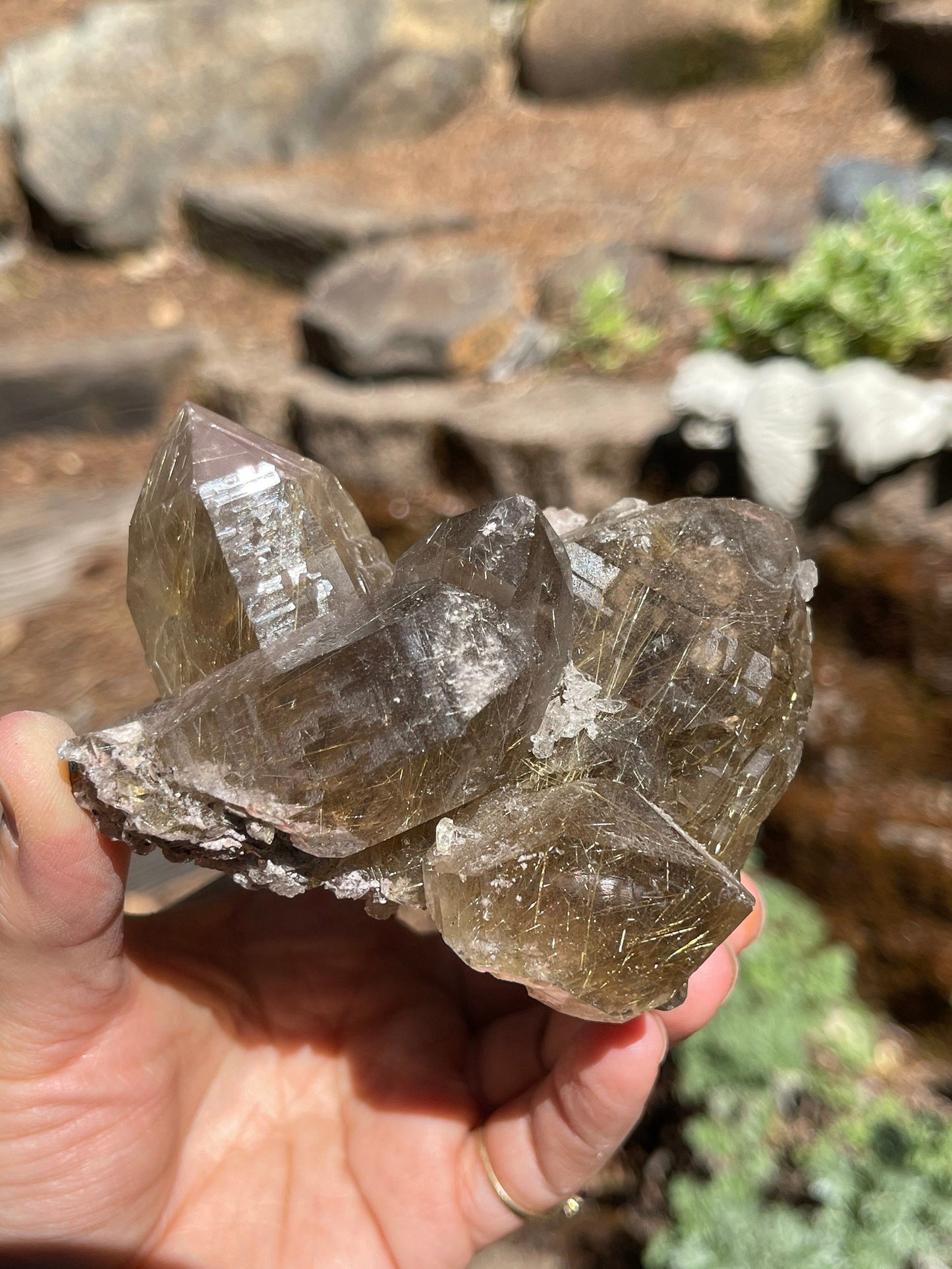 Gold Rutilated Quartz Cluster, High Quality Quartz, Rutilated Smoky Quartz, Venus Golden Hair Rutile, Q3-0522