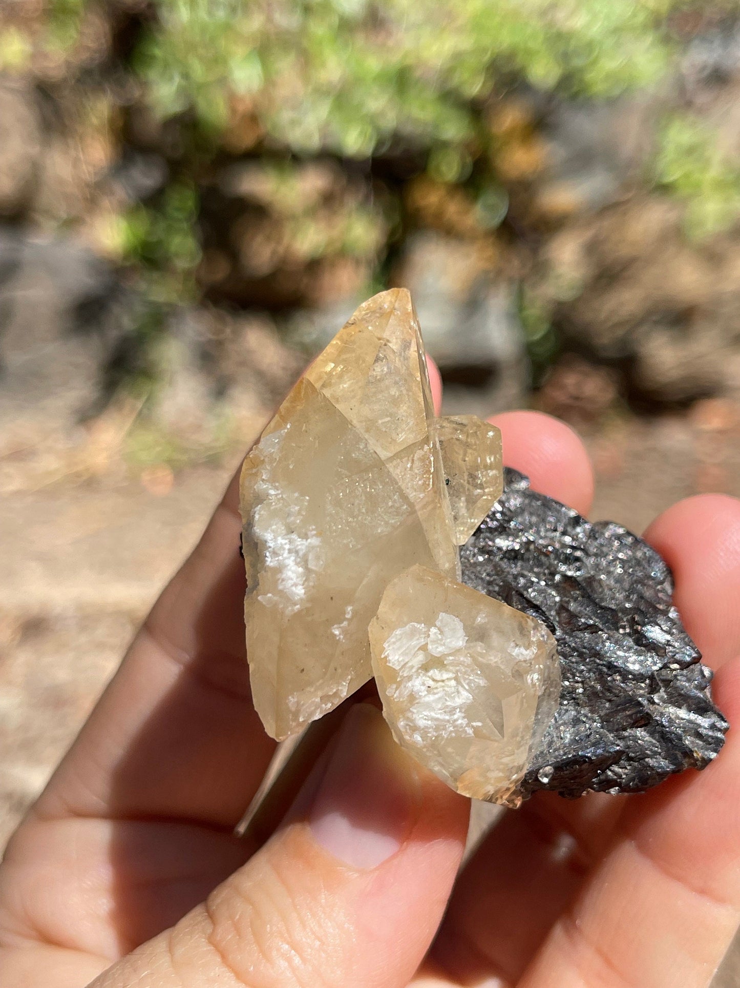 Elmwood Calcite on Sphalerite, Elmwood Mine, TN Crystal Master Healer Tools, Healing, Divination, Metaphysical, ELM1-0708
