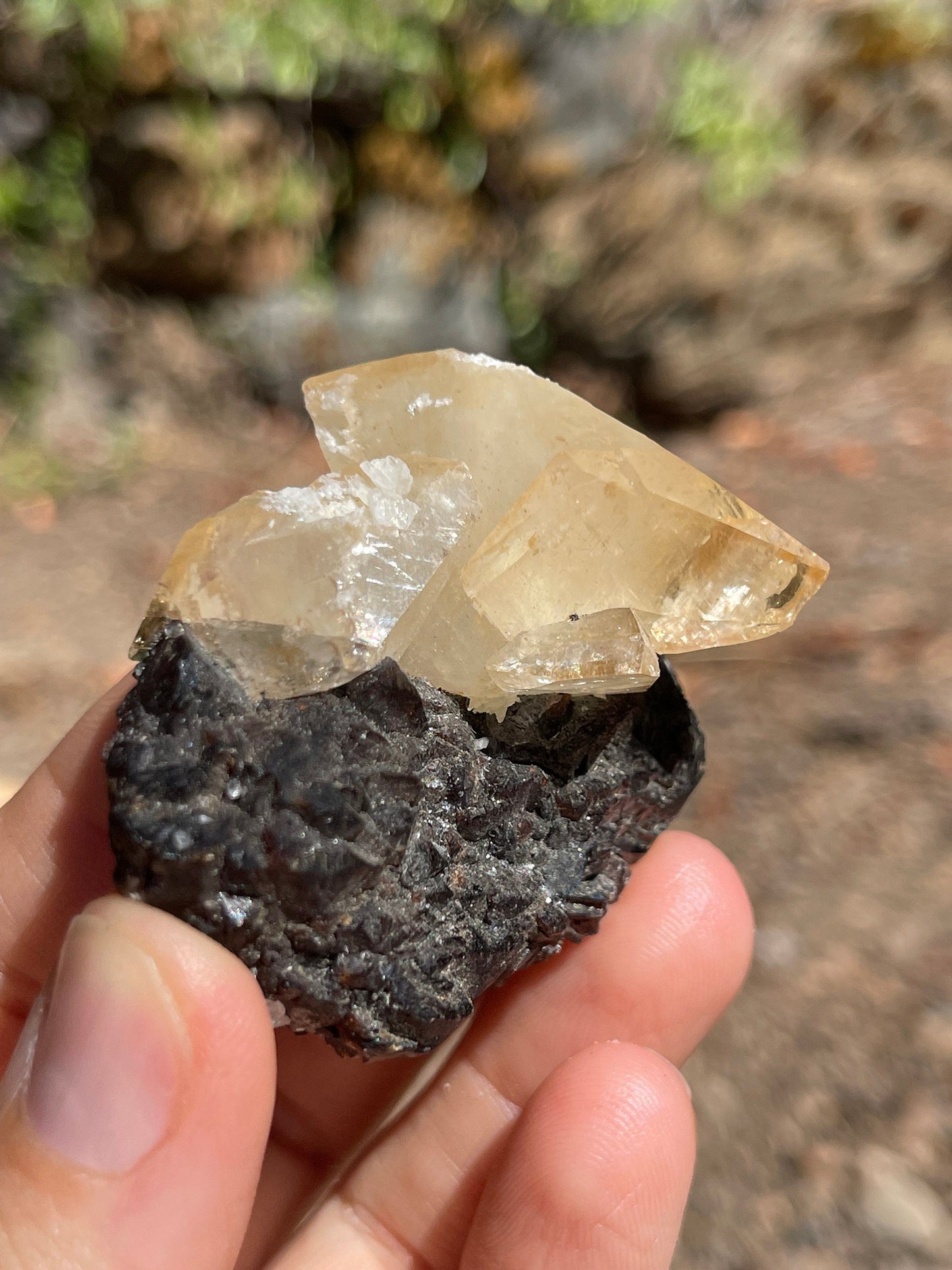 Elmwood Calcite on Sphalerite, Elmwood Mine, TN Crystal Master Healer Tools, Healing, Divination, Metaphysical, ELM1-0708