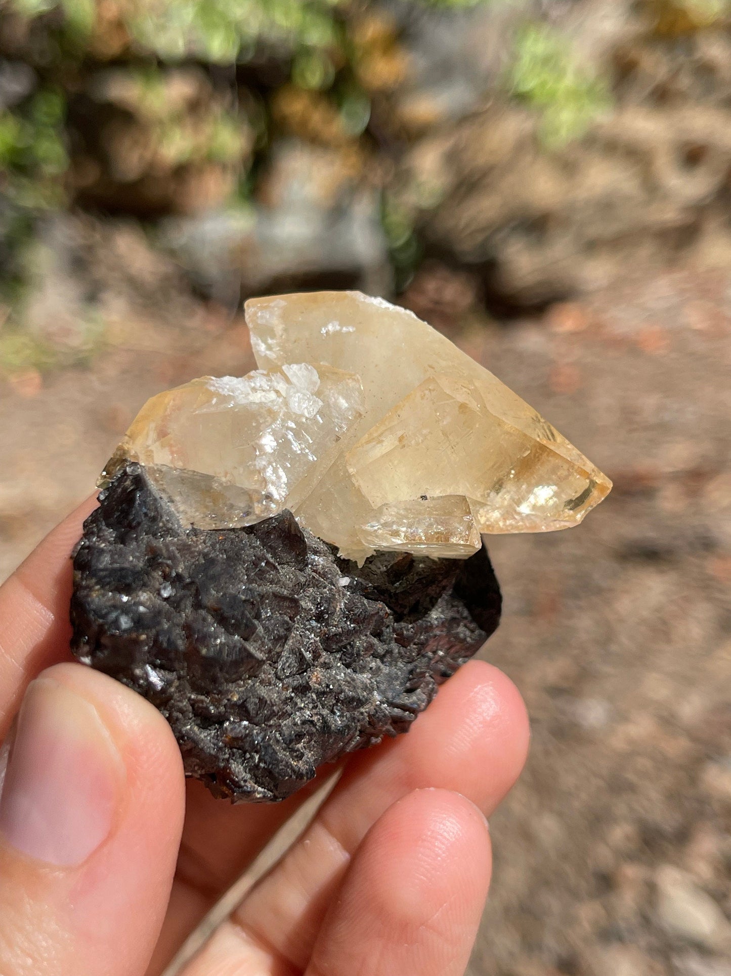 Elmwood Calcite on Sphalerite, Elmwood Mine, TN Crystal Master Healer Tools, Healing, Divination, Metaphysical, ELM1-0708