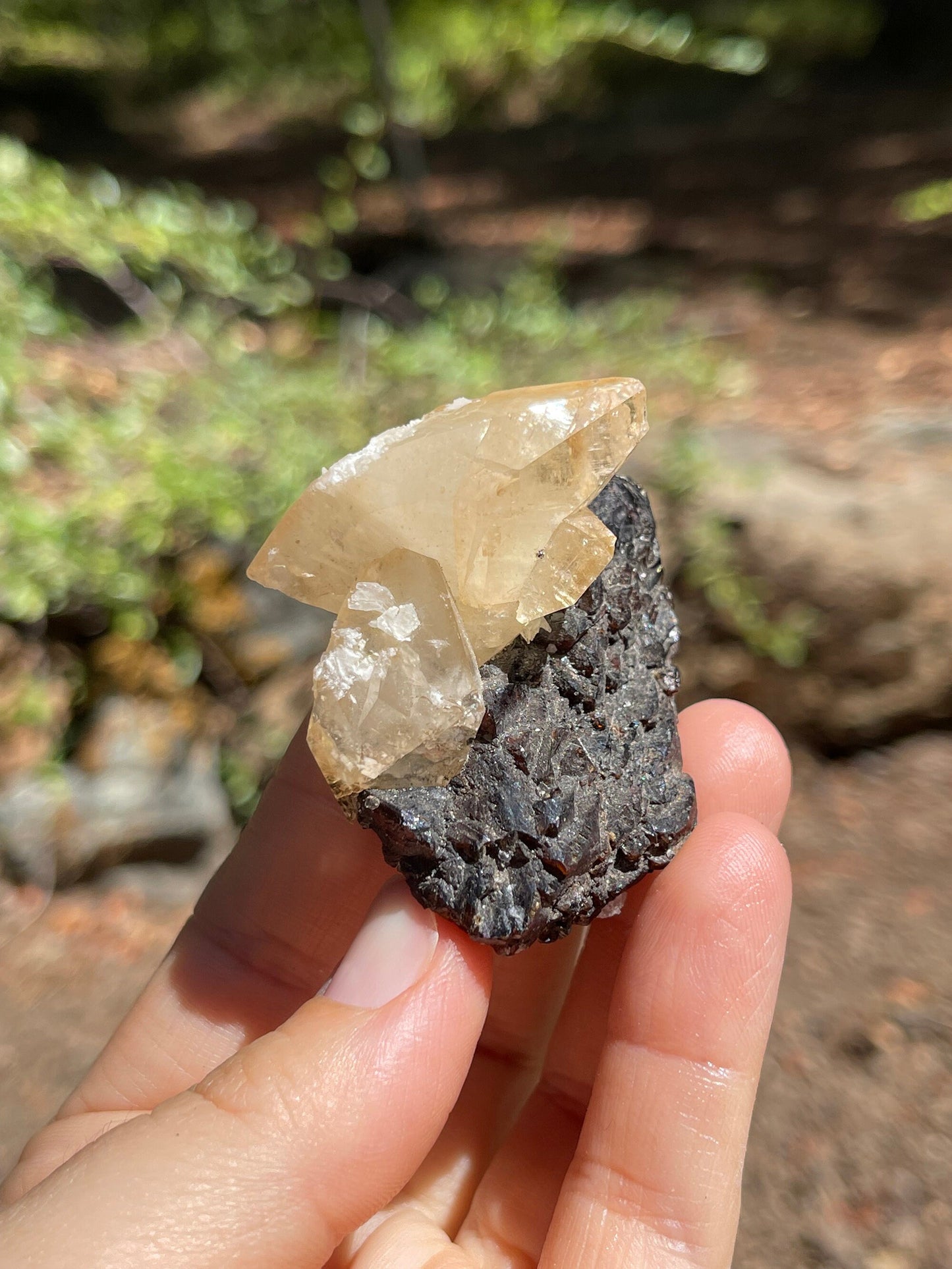 Elmwood Calcite on Sphalerite, Elmwood Mine, TN Crystal Master Healer Tools, Healing, Divination, Metaphysical, ELM1-0708