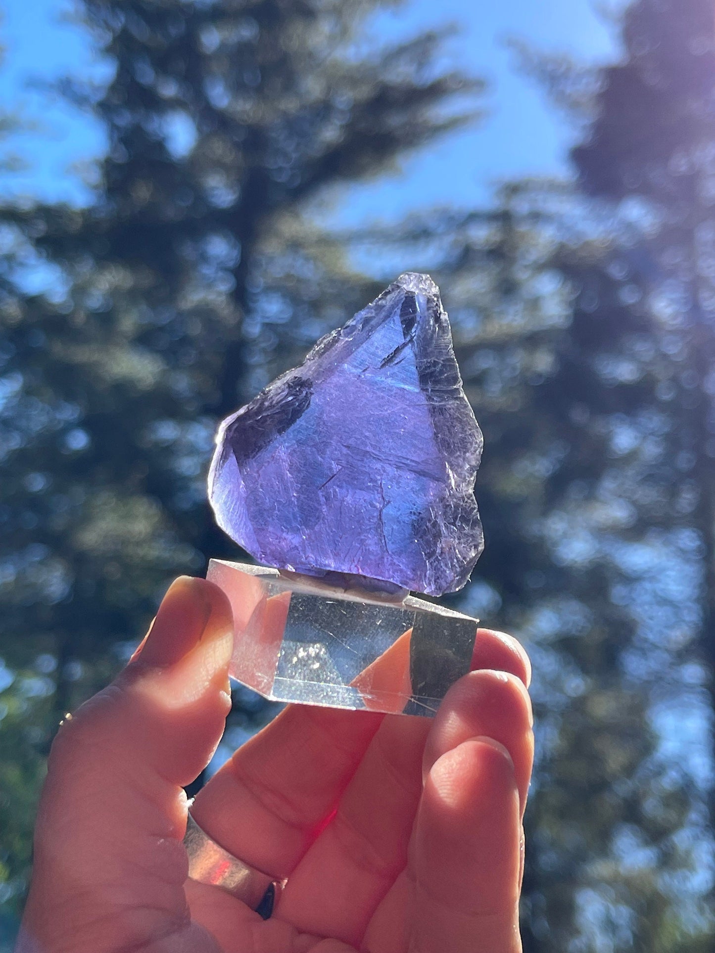 Natural Blue Fluorite Crystal with Purple Zoning, Natural Edge Slab, Rare Fluorite,Stimulation, Growth, Genius, FL1-0620