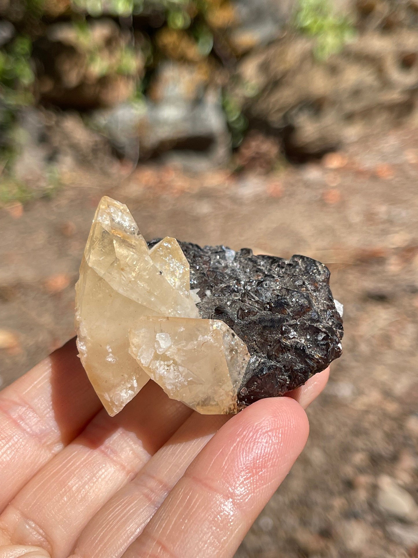 Elmwood Calcite on Sphalerite, Elmwood Mine, TN Crystal Master Healer Tools, Healing, Divination, Metaphysical, ELM1-0708