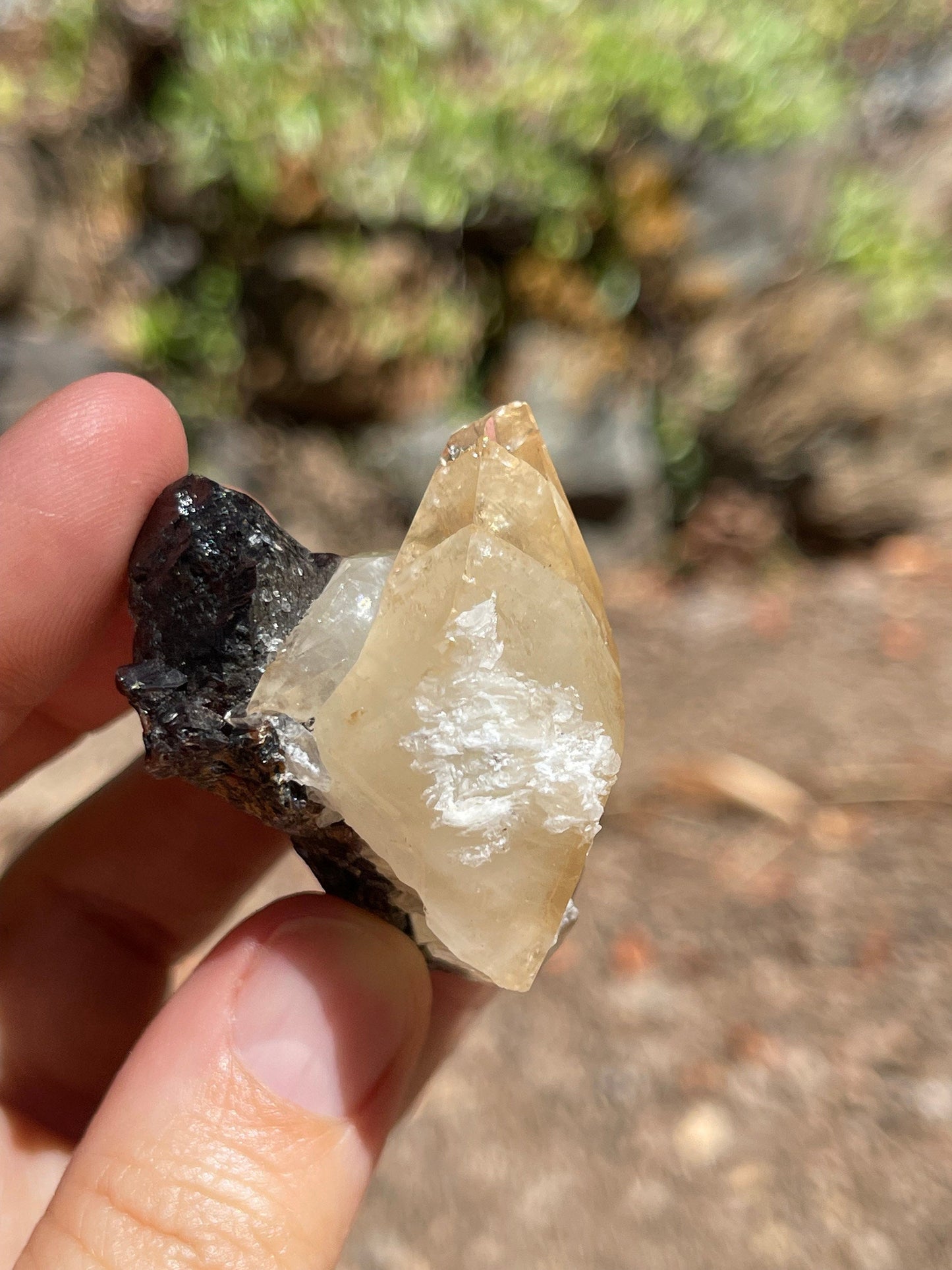 Elmwood Calcite on Sphalerite, Elmwood Mine, TN Crystal Master Healer Tools, Healing, Divination, Metaphysical, ELM1-0708