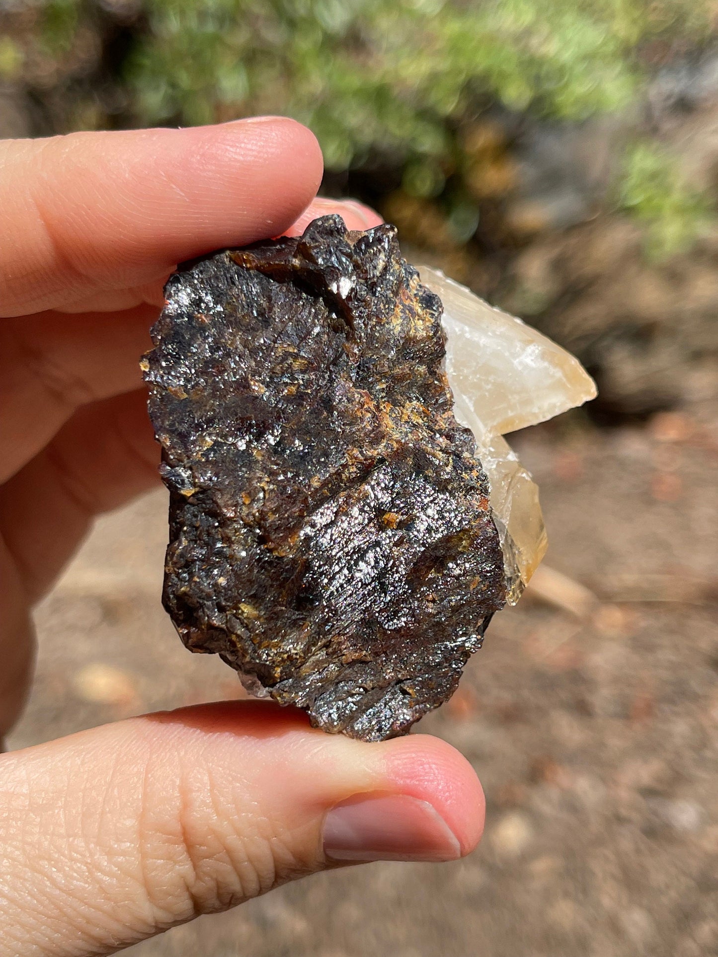 Elmwood Calcite on Sphalerite, Elmwood Mine, TN Crystal Master Healer Tools, Healing, Divination, Metaphysical, ELM1-0708