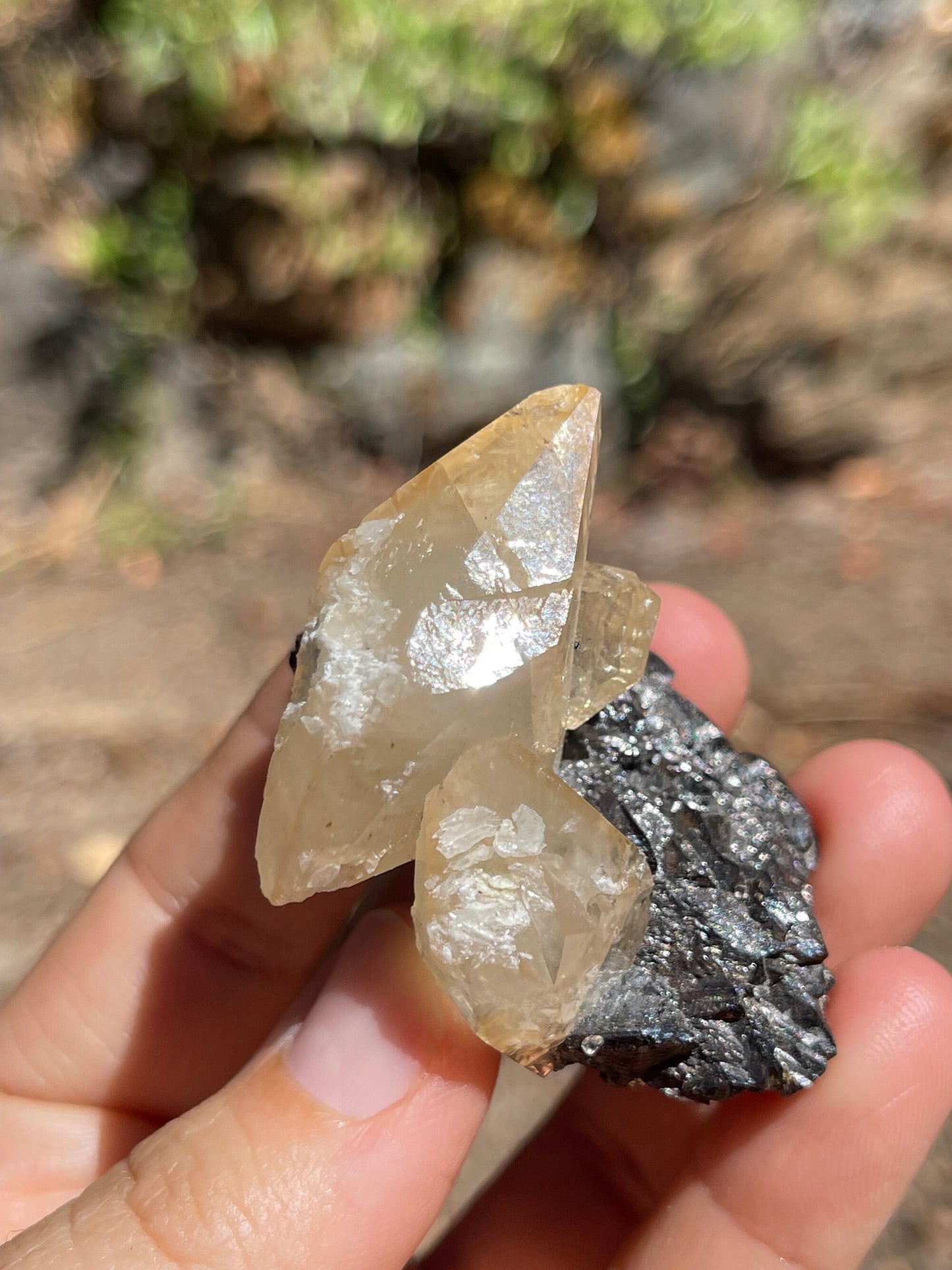 Elmwood Calcite on Sphalerite, Elmwood Mine, TN Crystal Master Healer Tools, Healing, Divination, Metaphysical, ELM1-0708