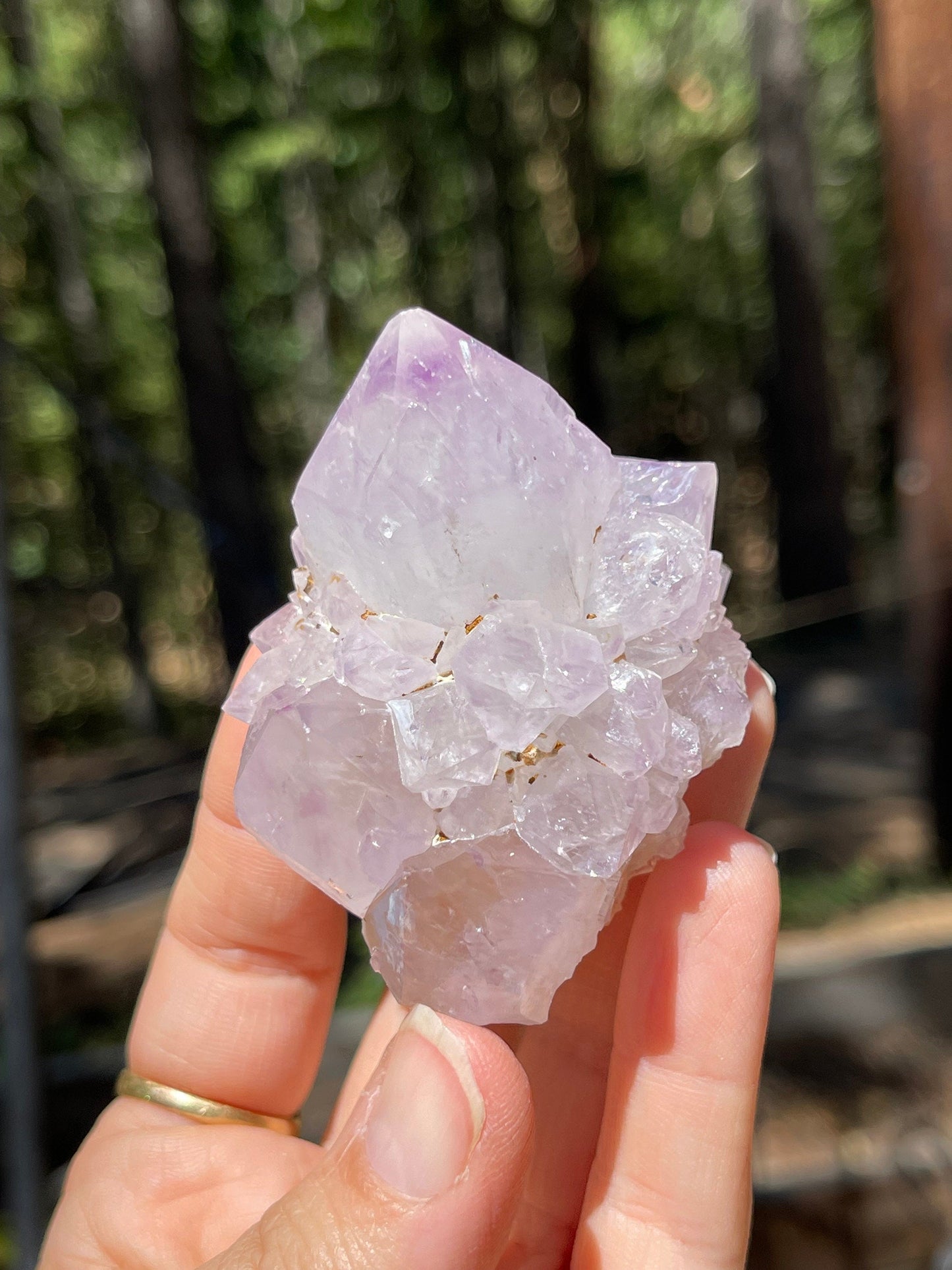 Spirit Quartz, Chunky Cactus Quartz Stalactite Flower, White Light Energy, Cactus Quartz, Healing Crystals, SQ1-0722