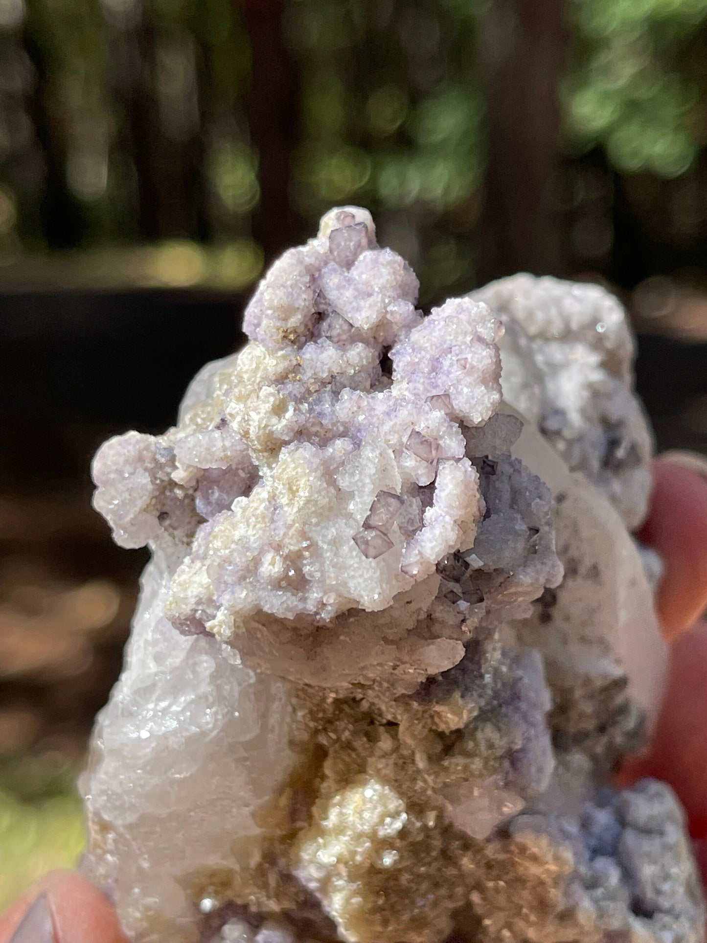 Scheelite, Lepidolite Phantom Fluorite & Quartz, Yaogangxian Minerals, Rare Minerals, Heart, Crown Chakra, Metaphysical Crystals, Q6-1001
