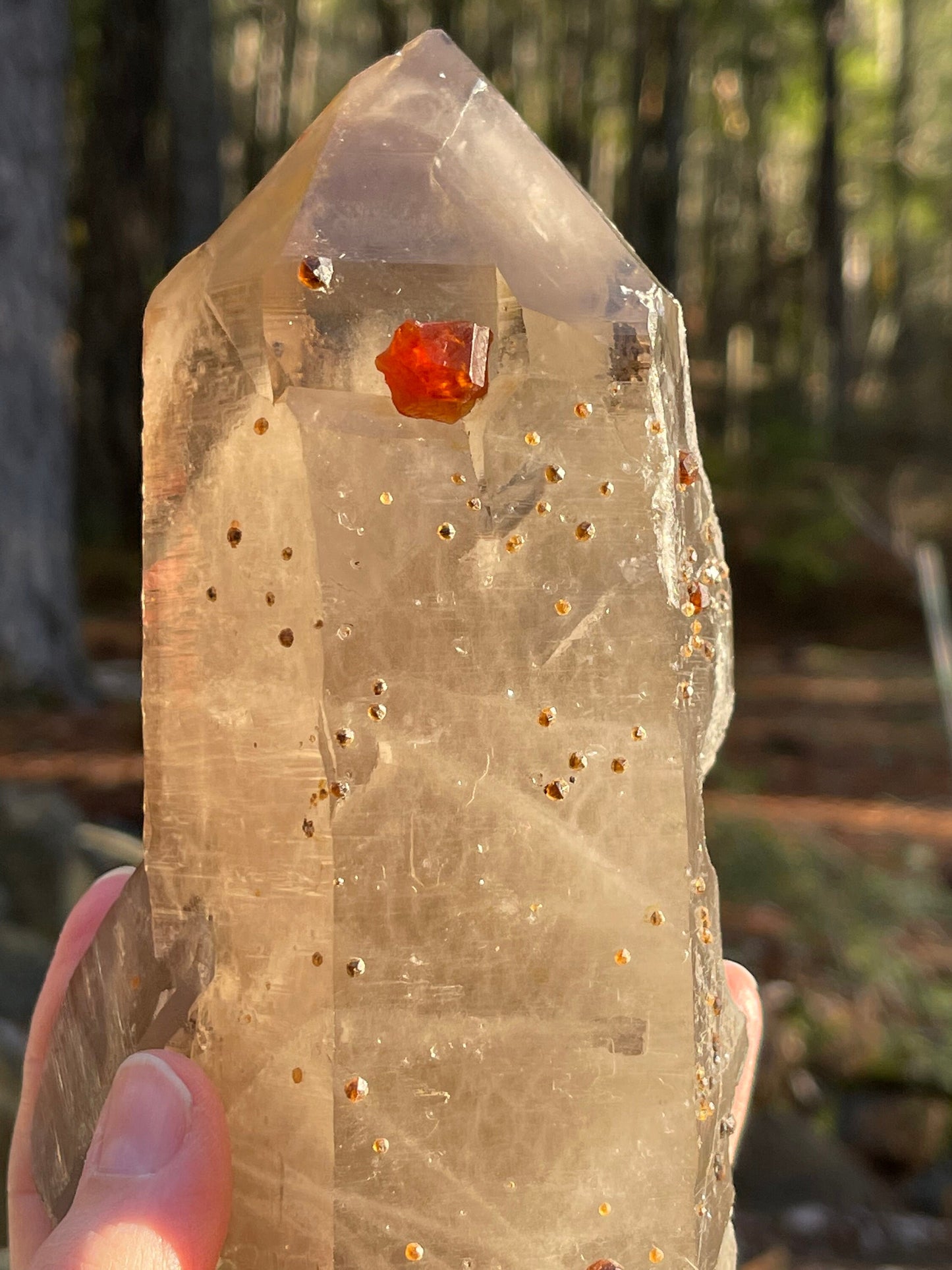 Largen Smoky Quartz with Spessartine Garnets, Fujian, China