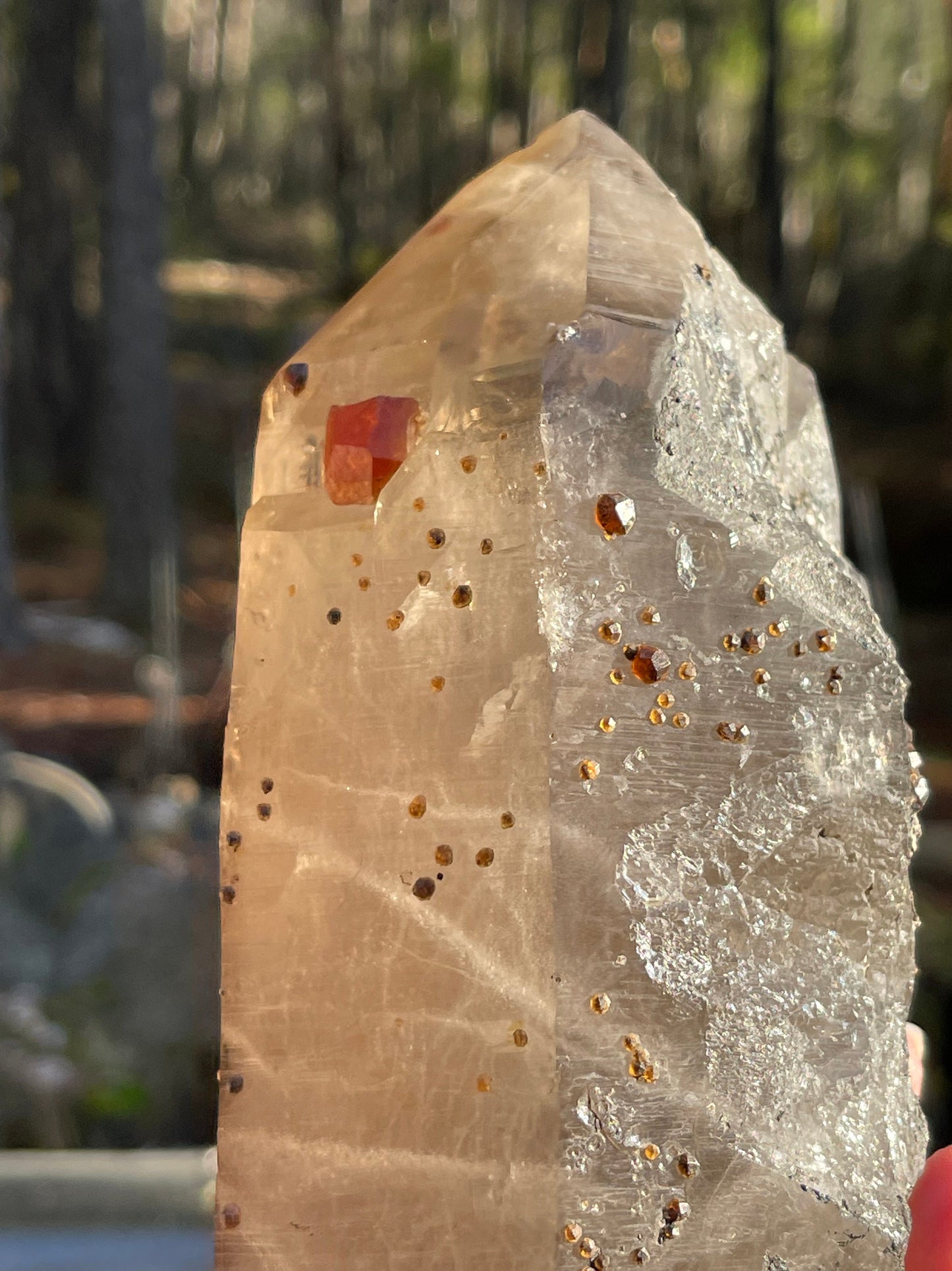 Largen Smoky Quartz with Spessartine Garnets, Fujian, China
