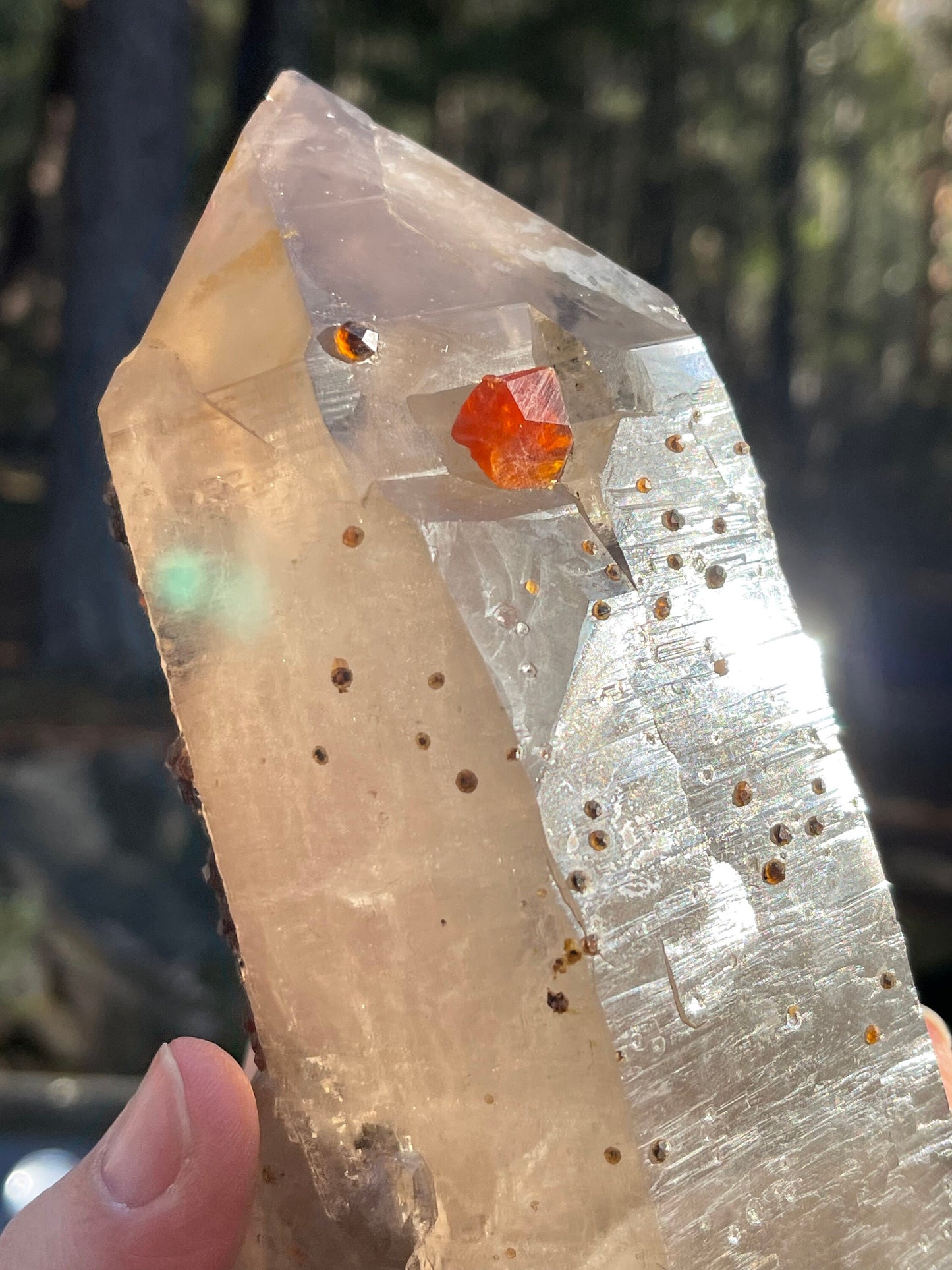 Largen Smoky Quartz with Spessartine Garnets, Fujian, China