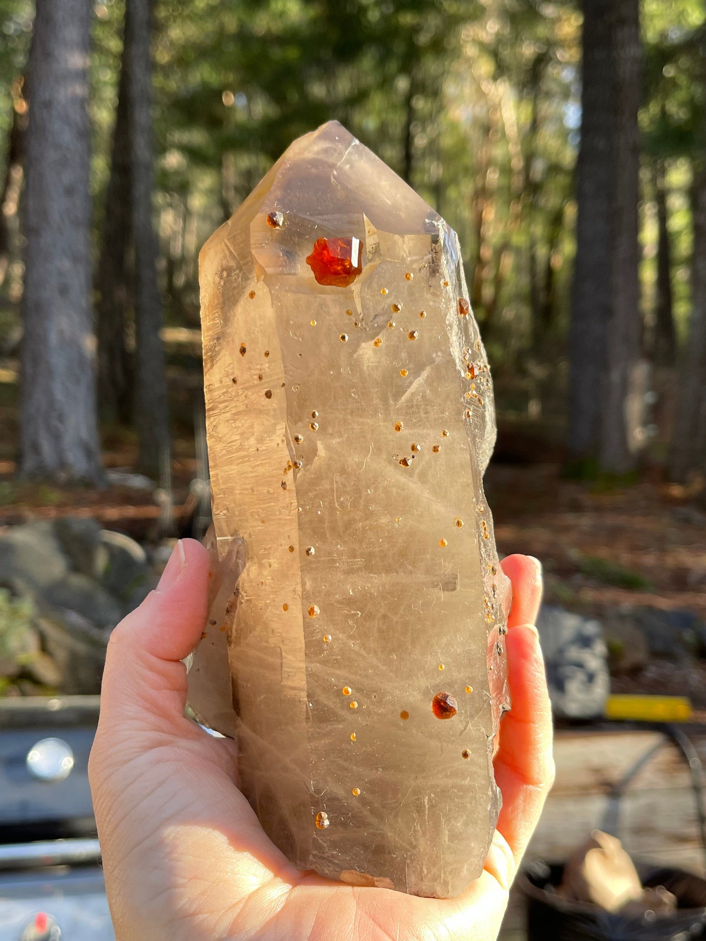 Largen Smoky Quartz with Spessartine Garnets, Fujian, China