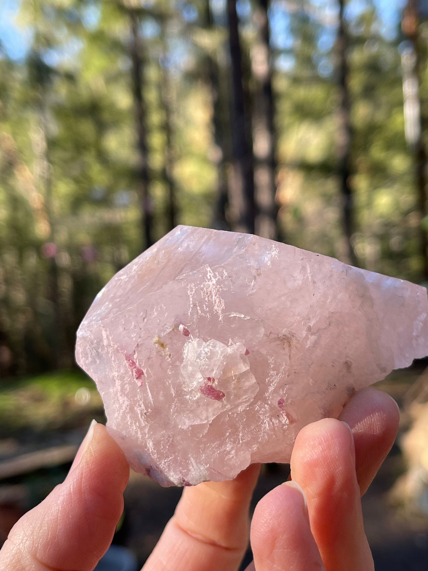 Morganite and Pink Tourmaline Crystal, Stewart Mine, San Diego, CA USA