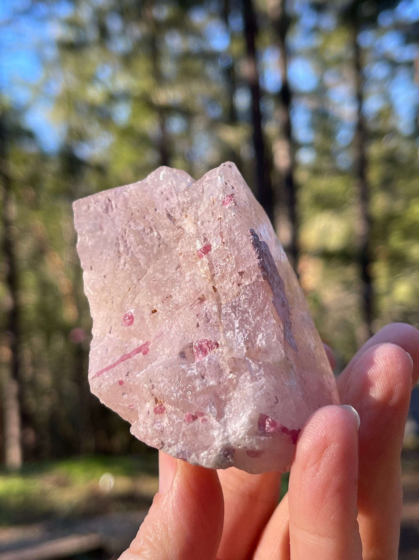 Morganite and Pink Tourmaline Crystal, Stewart Mine, San Diego, CA USA