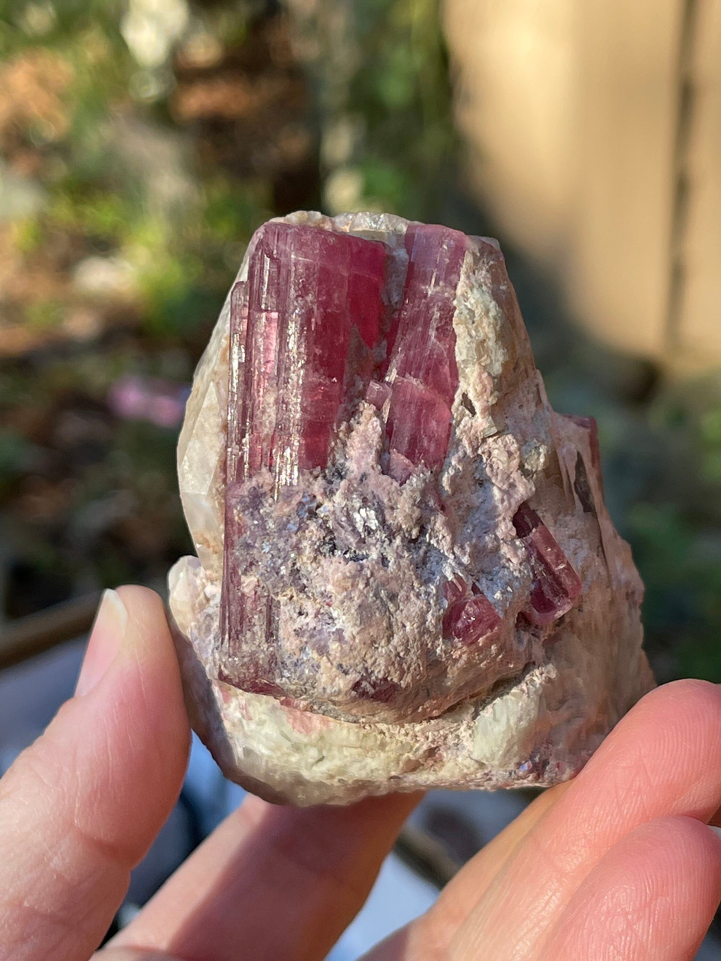 Pink Tourmaline, Stewart Mine, San Diego CA USA