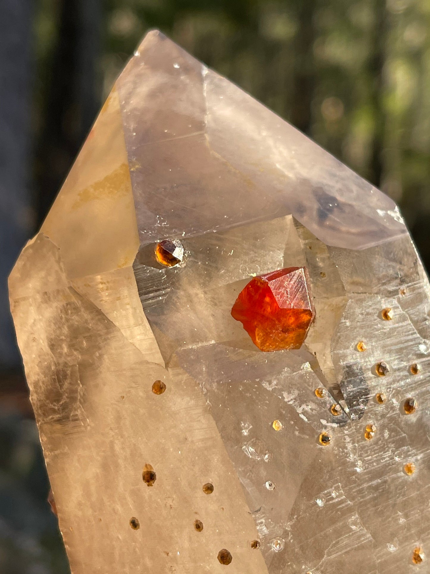 Largen Smoky Quartz with Spessartine Garnets, Fujian, China