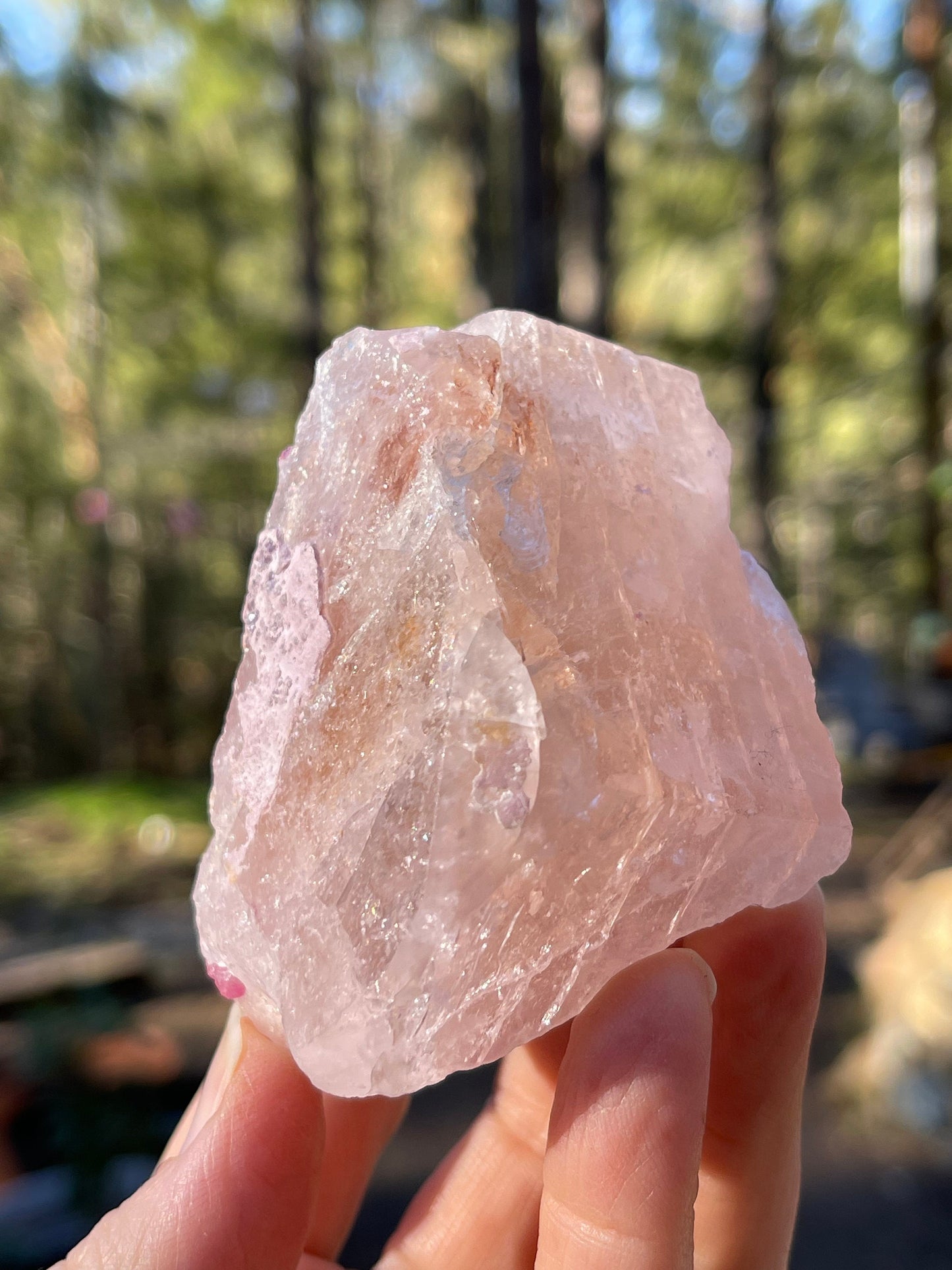Morganite and Pink Tourmaline Crystal, Stewart Mine, San Diego, CA USA